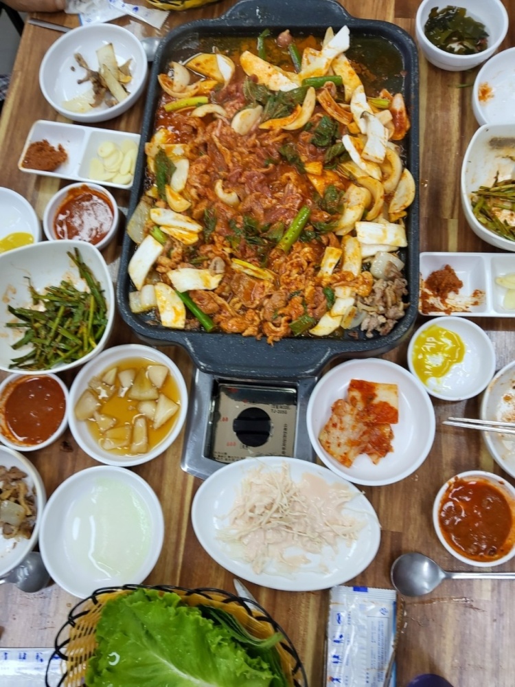 황금오리