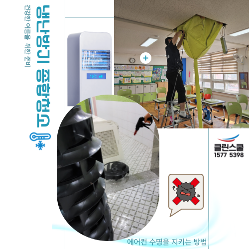 클린스쿨 전남