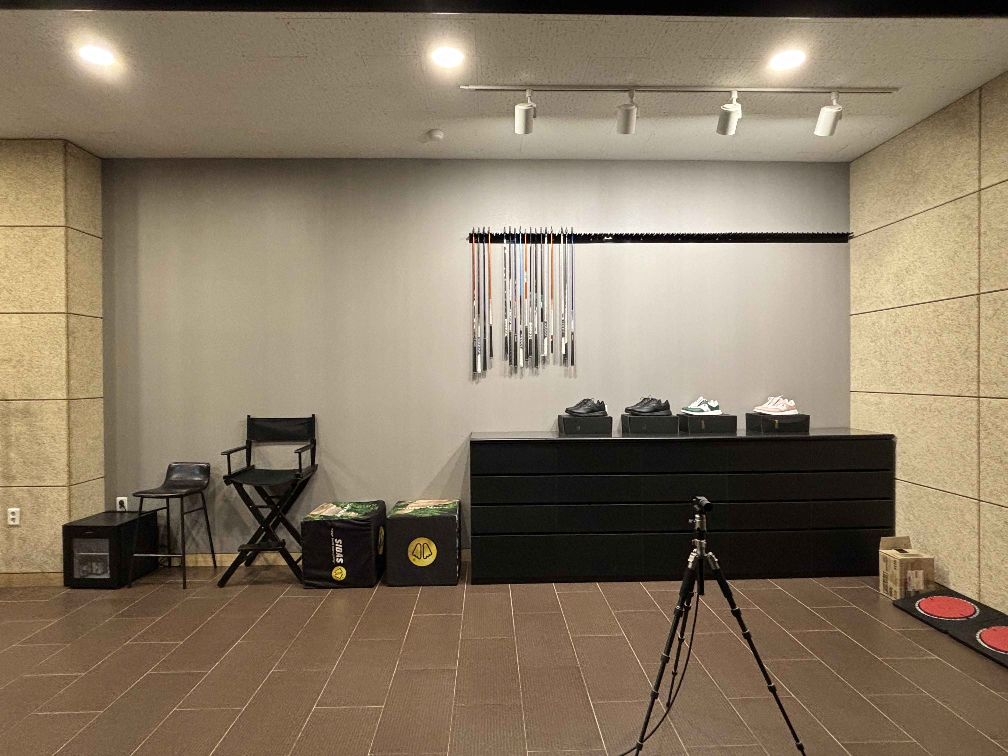 바이오메카스윙 코리아 대표 이미지