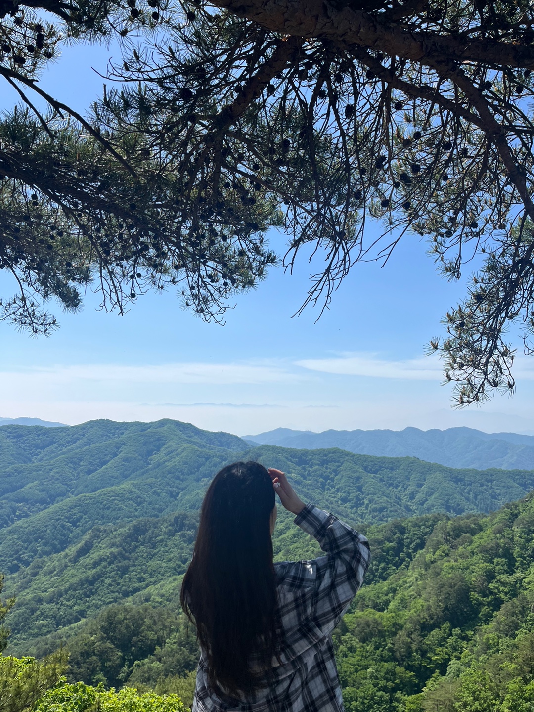 우아붙임머리