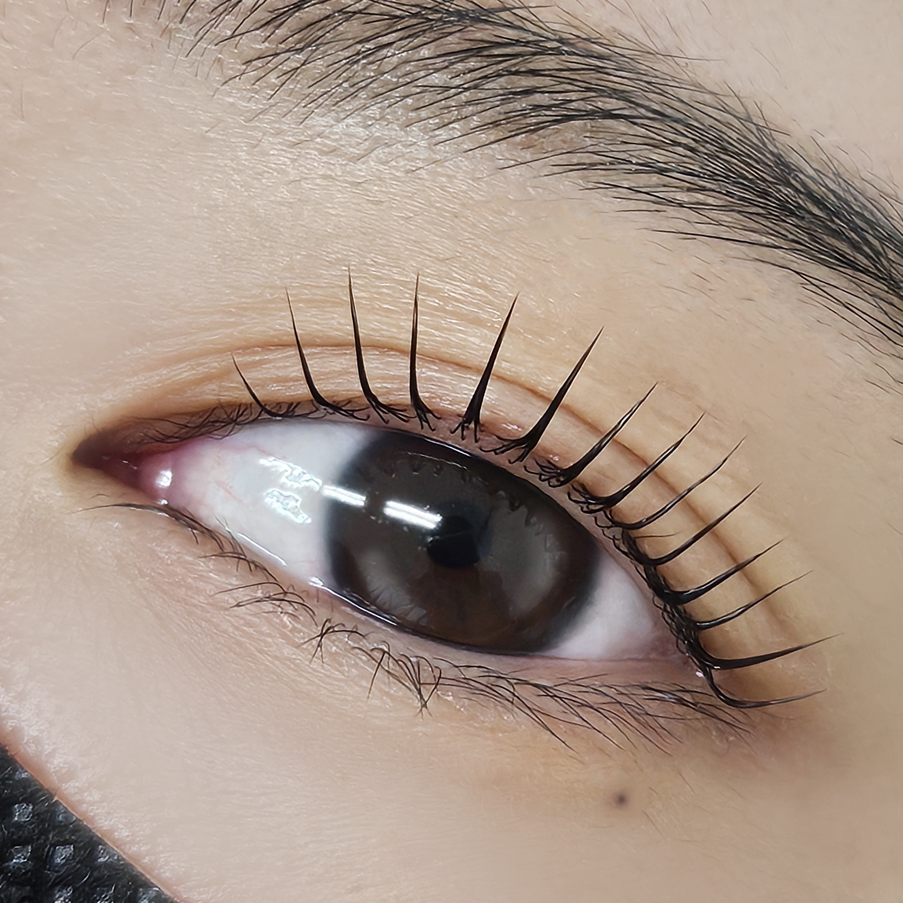 운트 대표 이미지