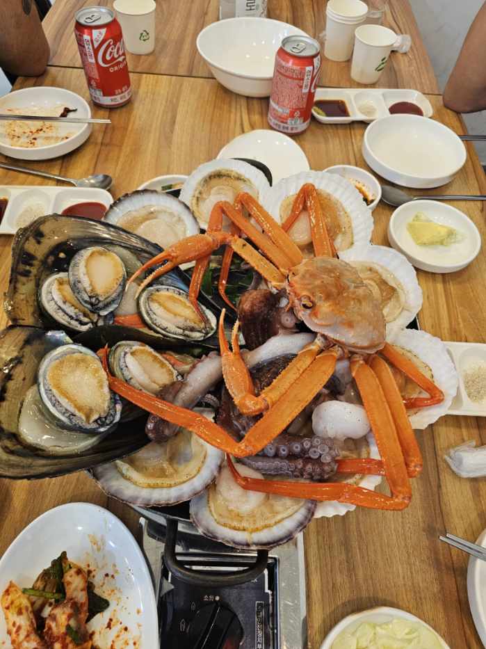 홍대포 설명사진