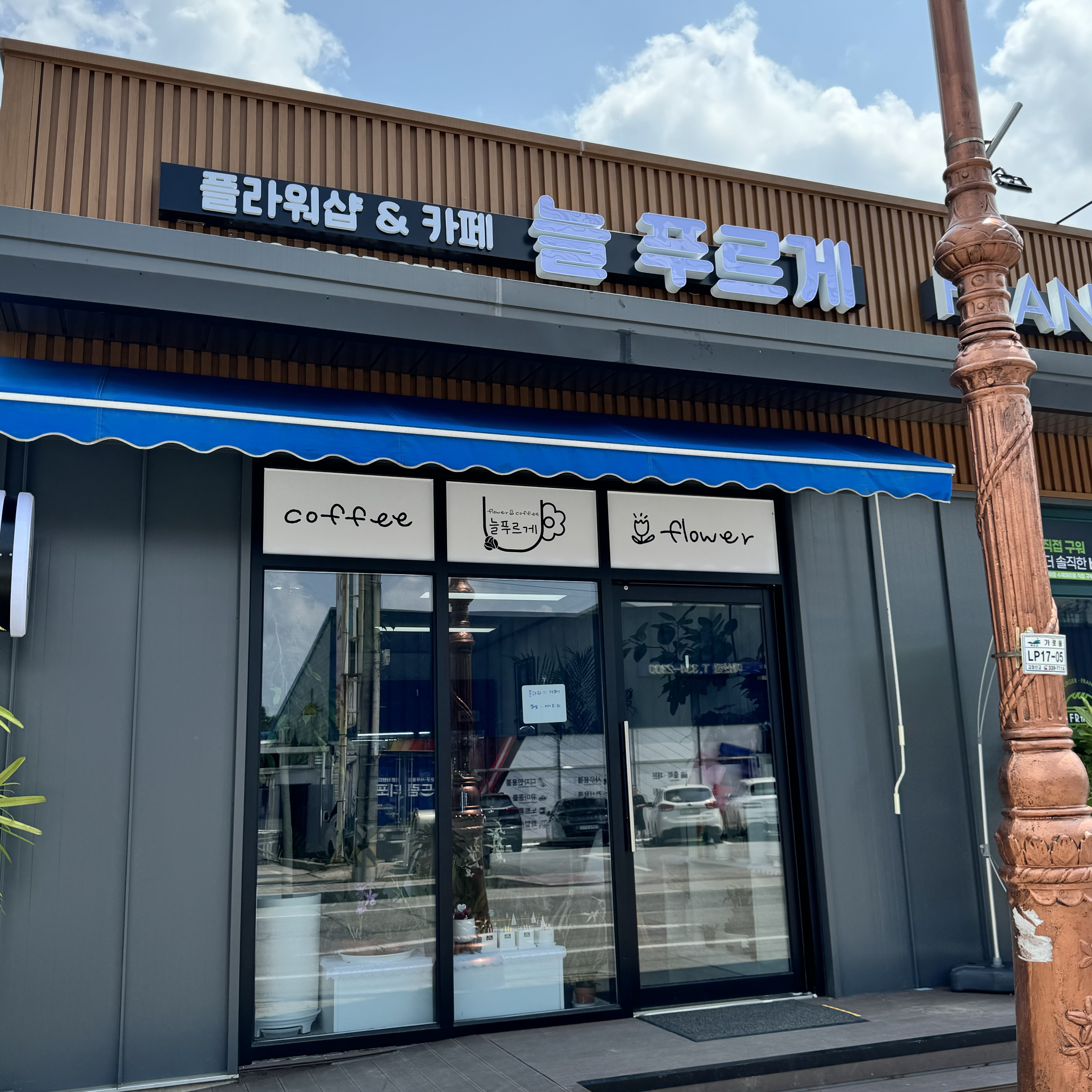 늘푸르게