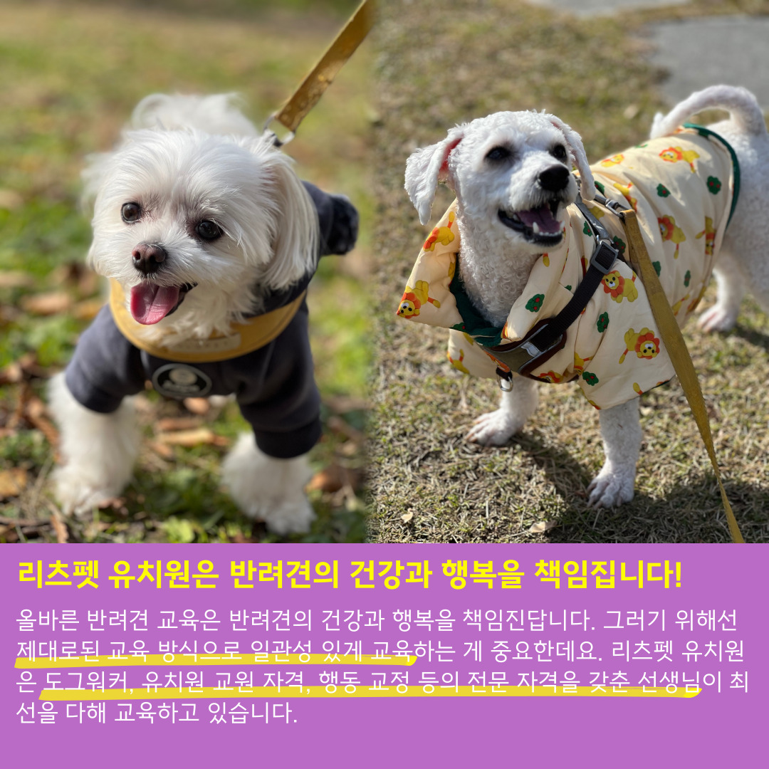 리츠펫 호수공원점 충청 애견카페