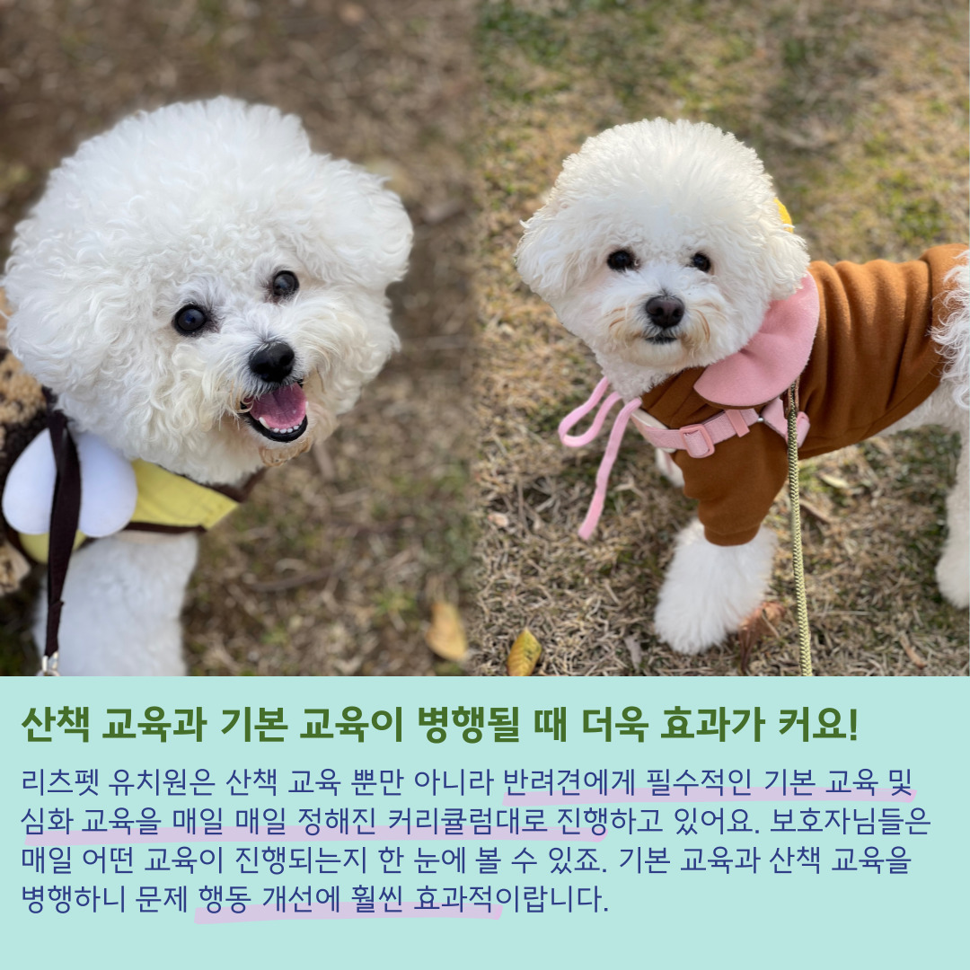 장모닭한마리 3