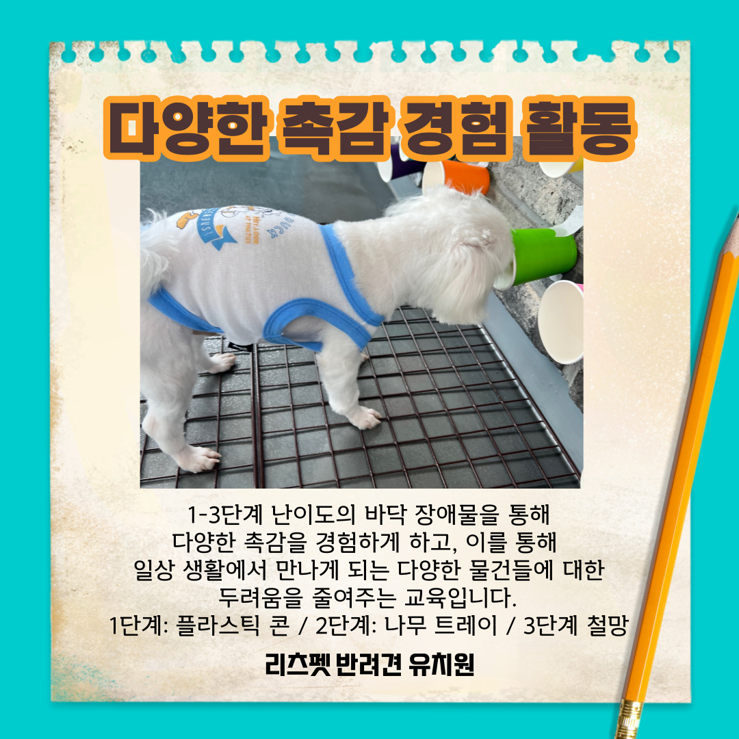 리츠펫 호수공원점 4
