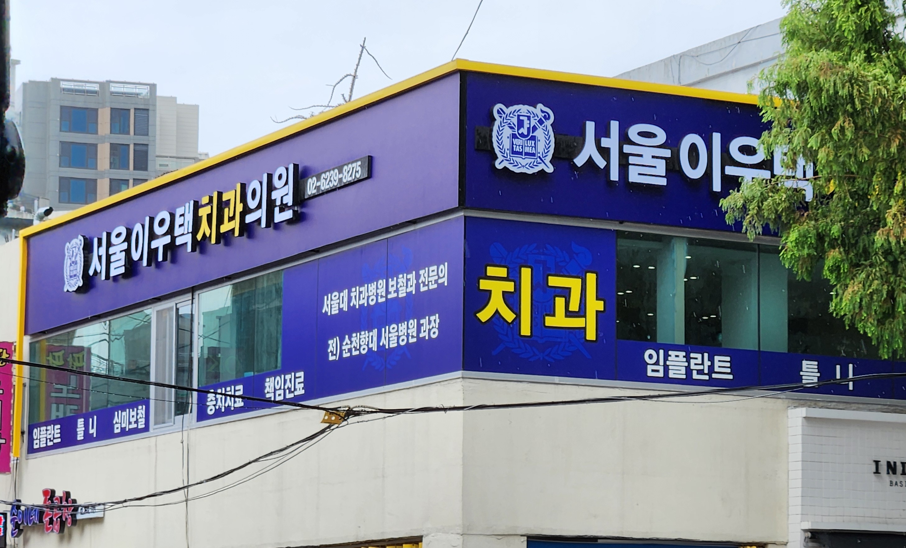 서울이우택치과의원 대표 이미지