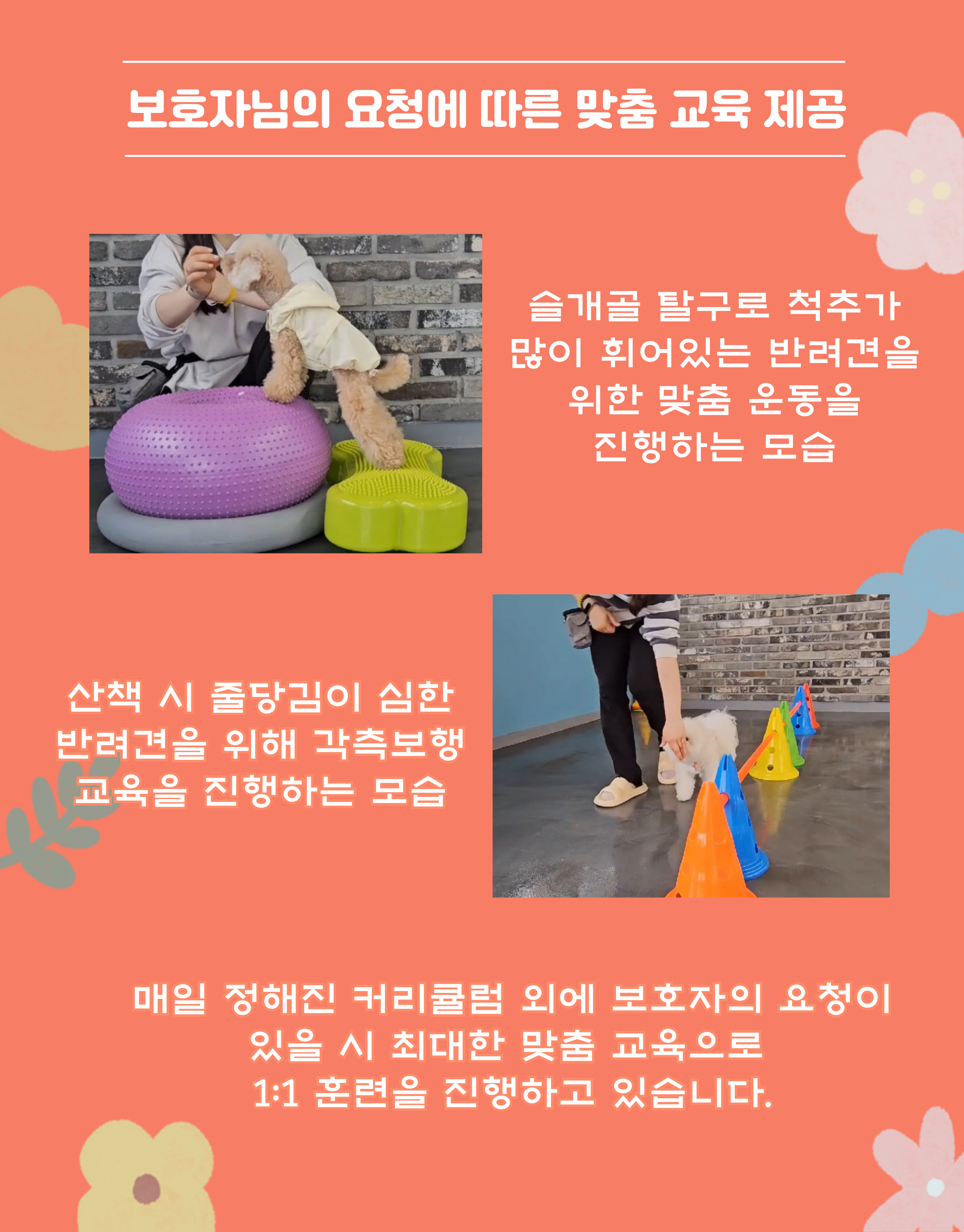 장모닭한마리 4