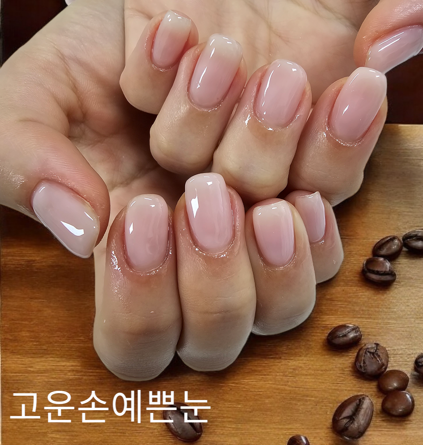 고운손 예쁜눈