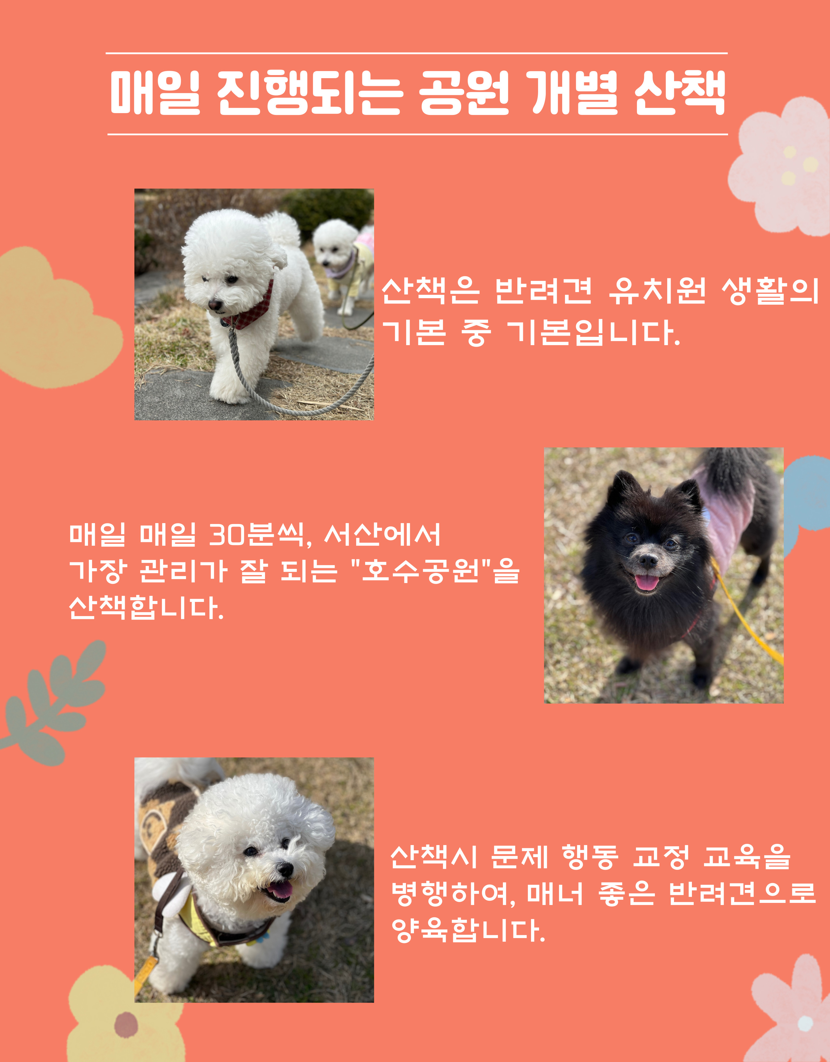 장모닭한마리 5