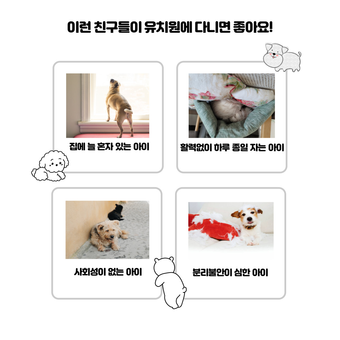 리츠펫 호수공원점 12
