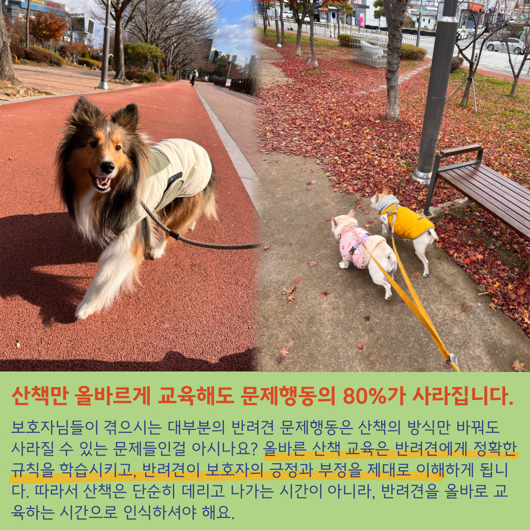 리츠펫 호수공원점 7