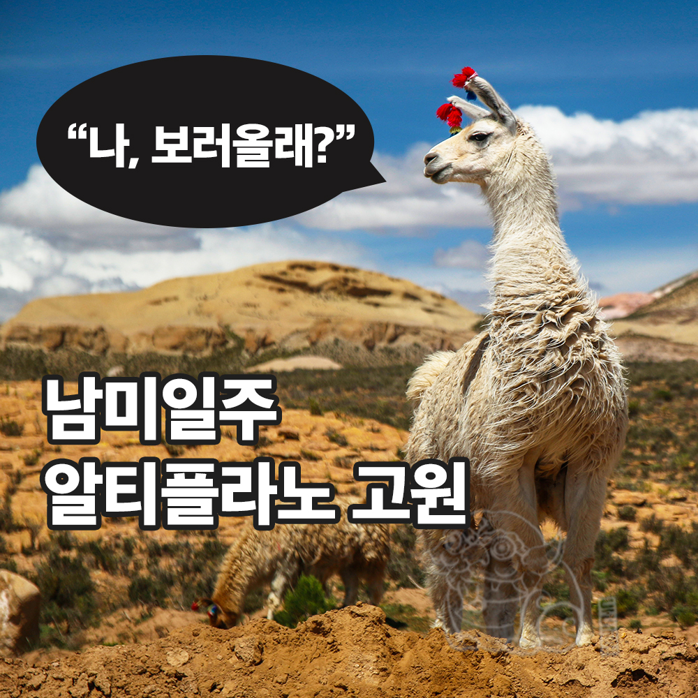두드림여행사