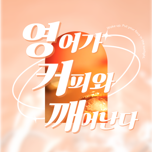 인투영어카페