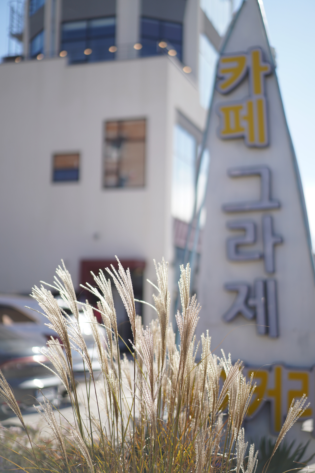 그라제 6