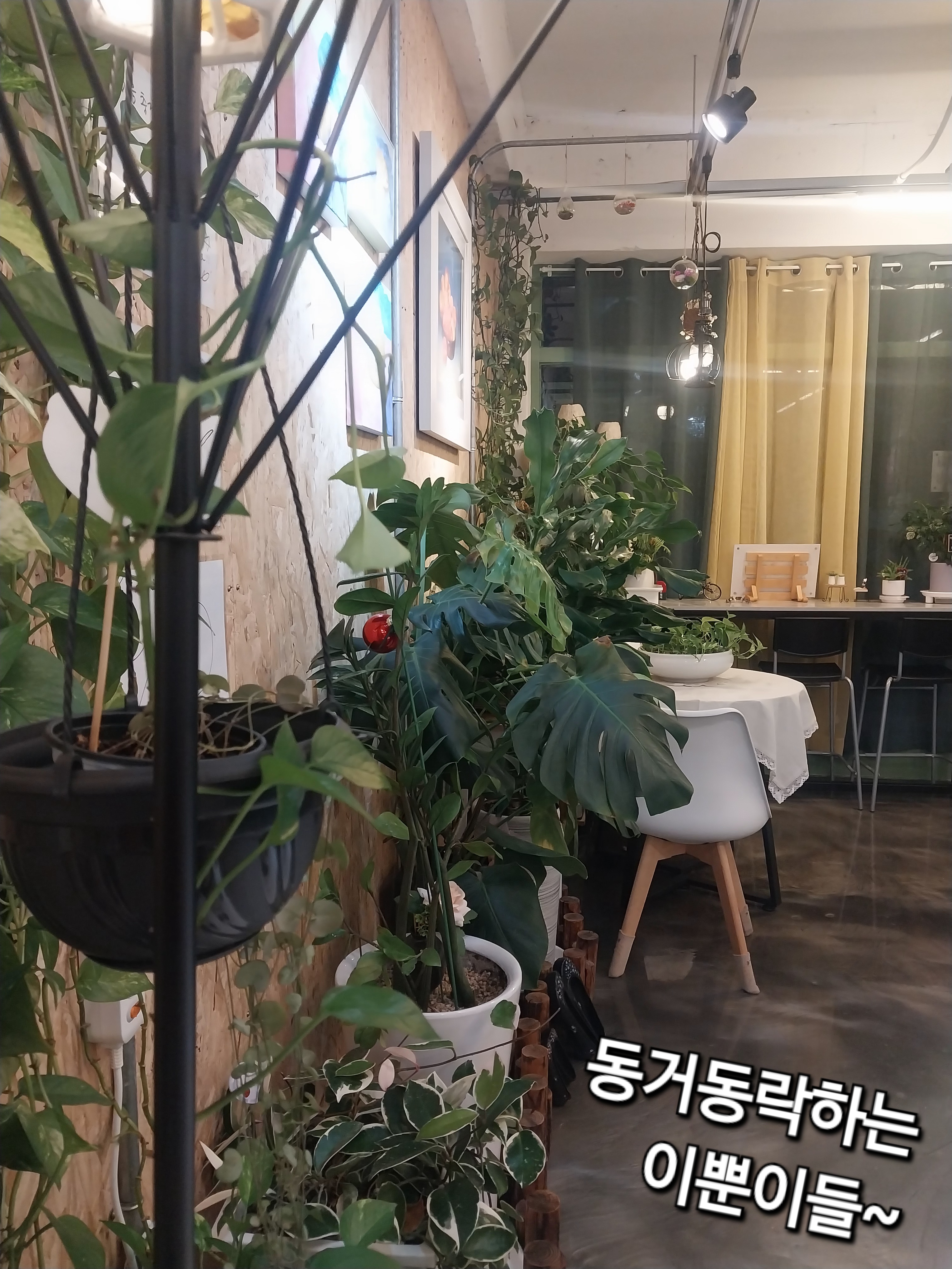 보배심리상담연구소 대표 이미지