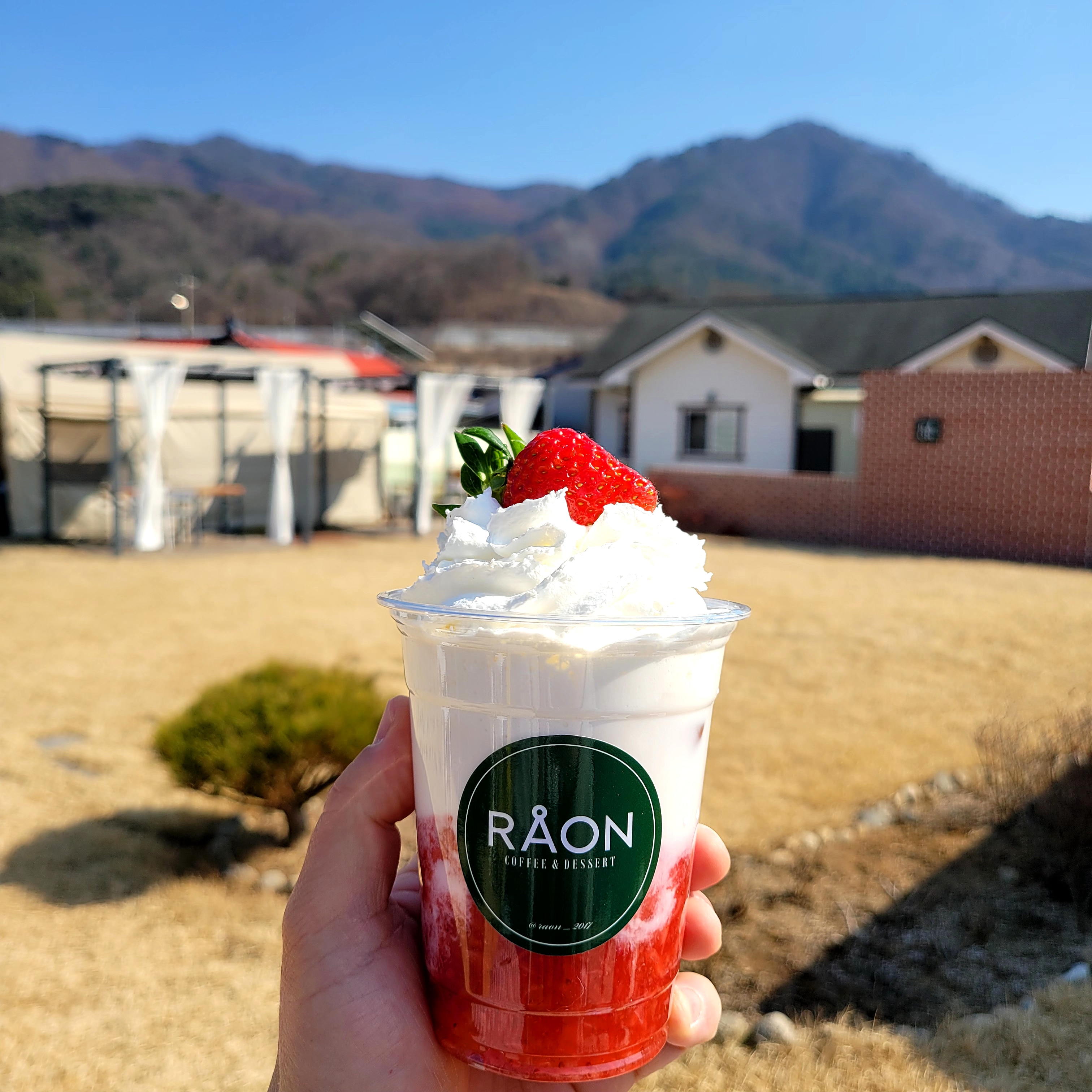 카페라온