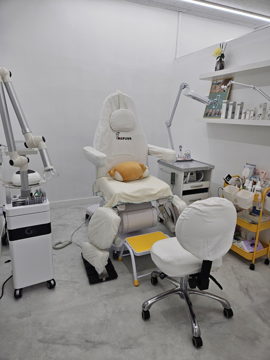 레푸스 다산