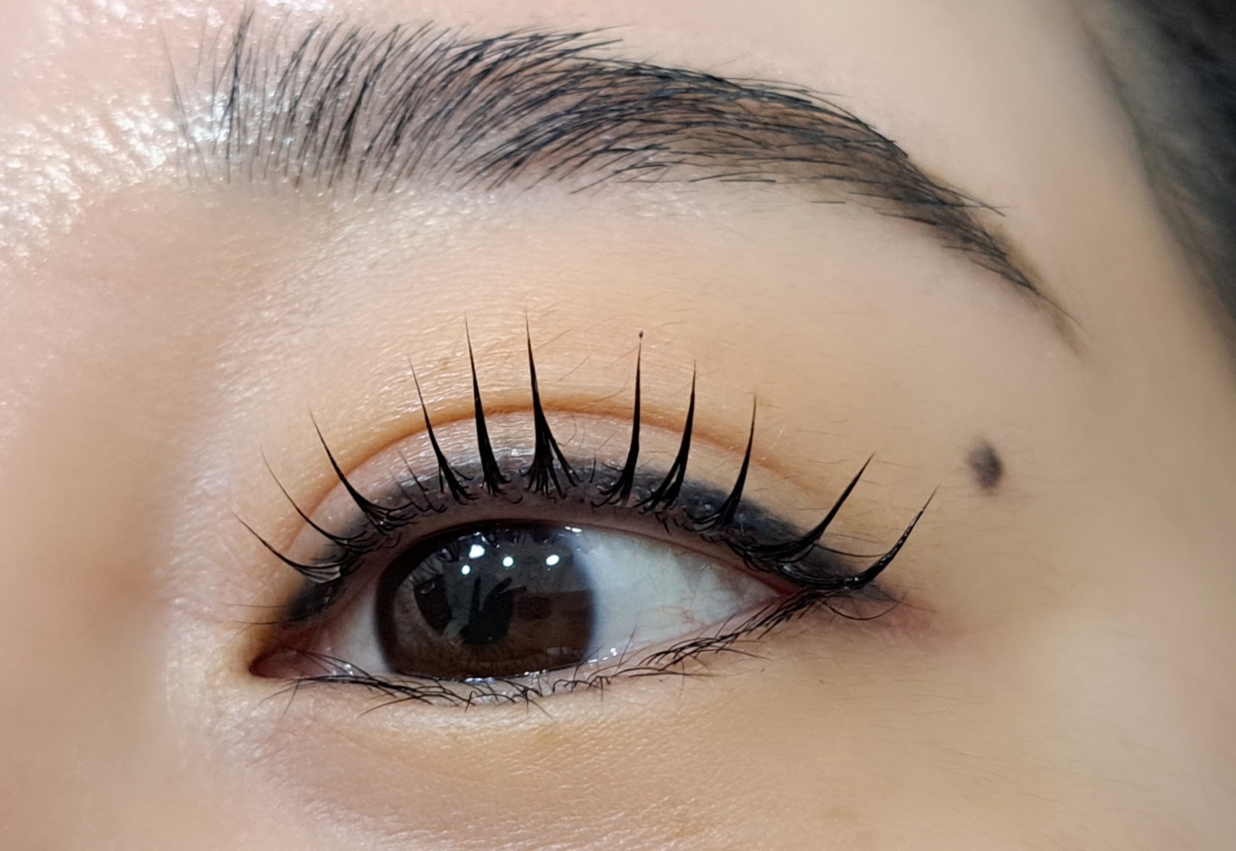 뷰티풀라인 대표 이미지