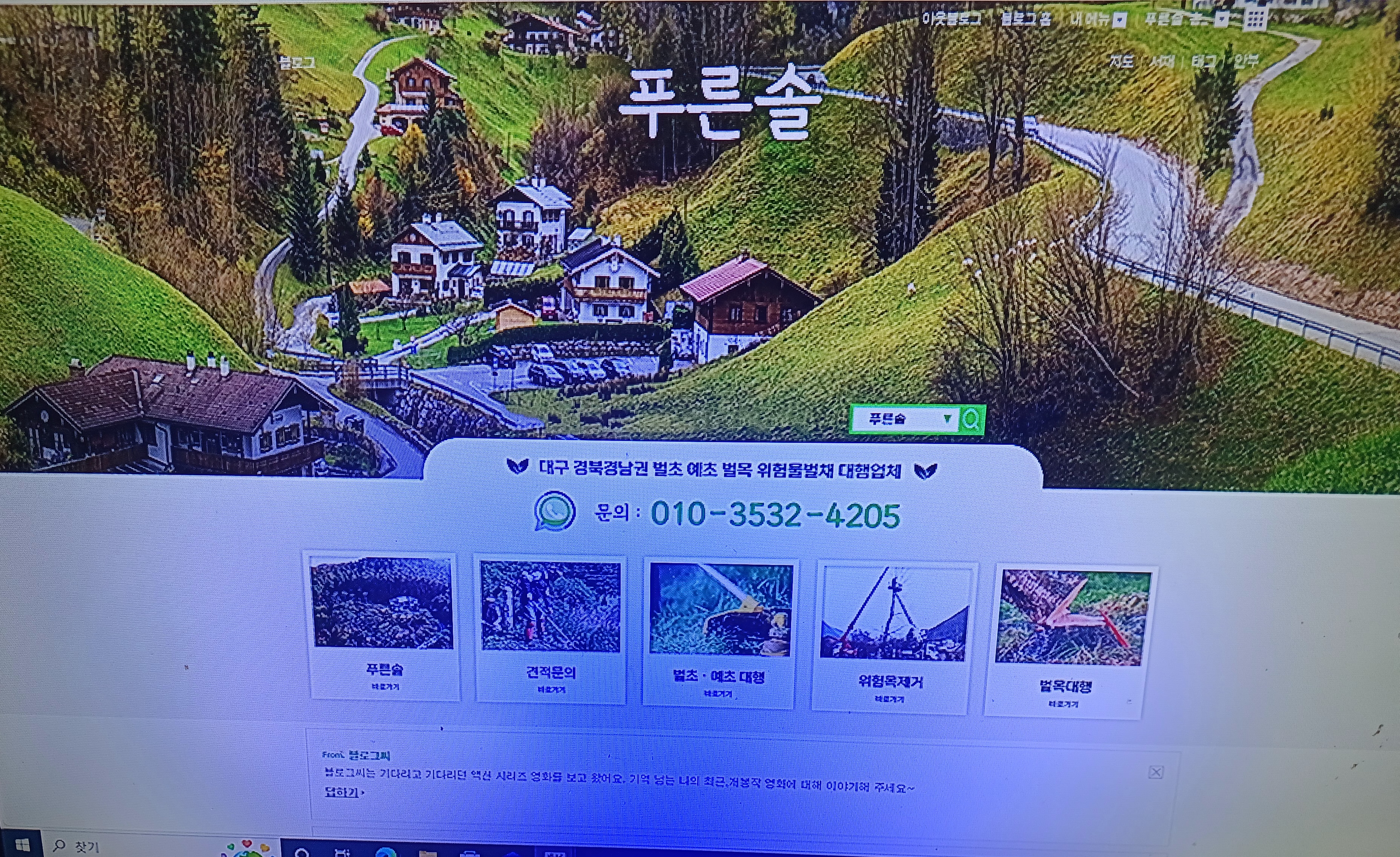푸른솔