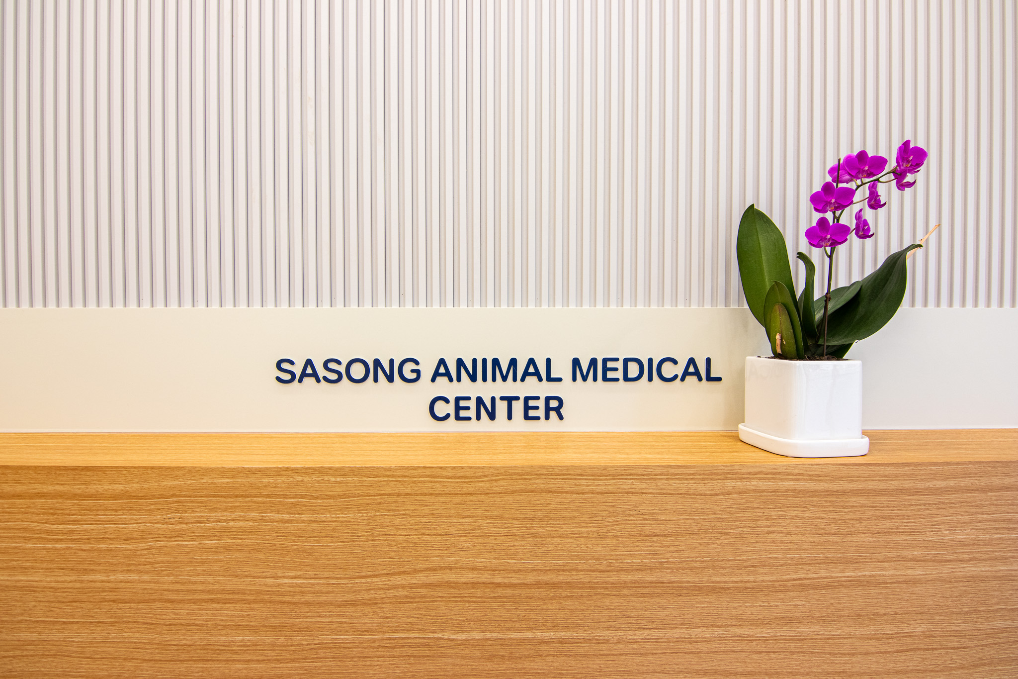 사송 동물 메디컬센터 외관 이미지