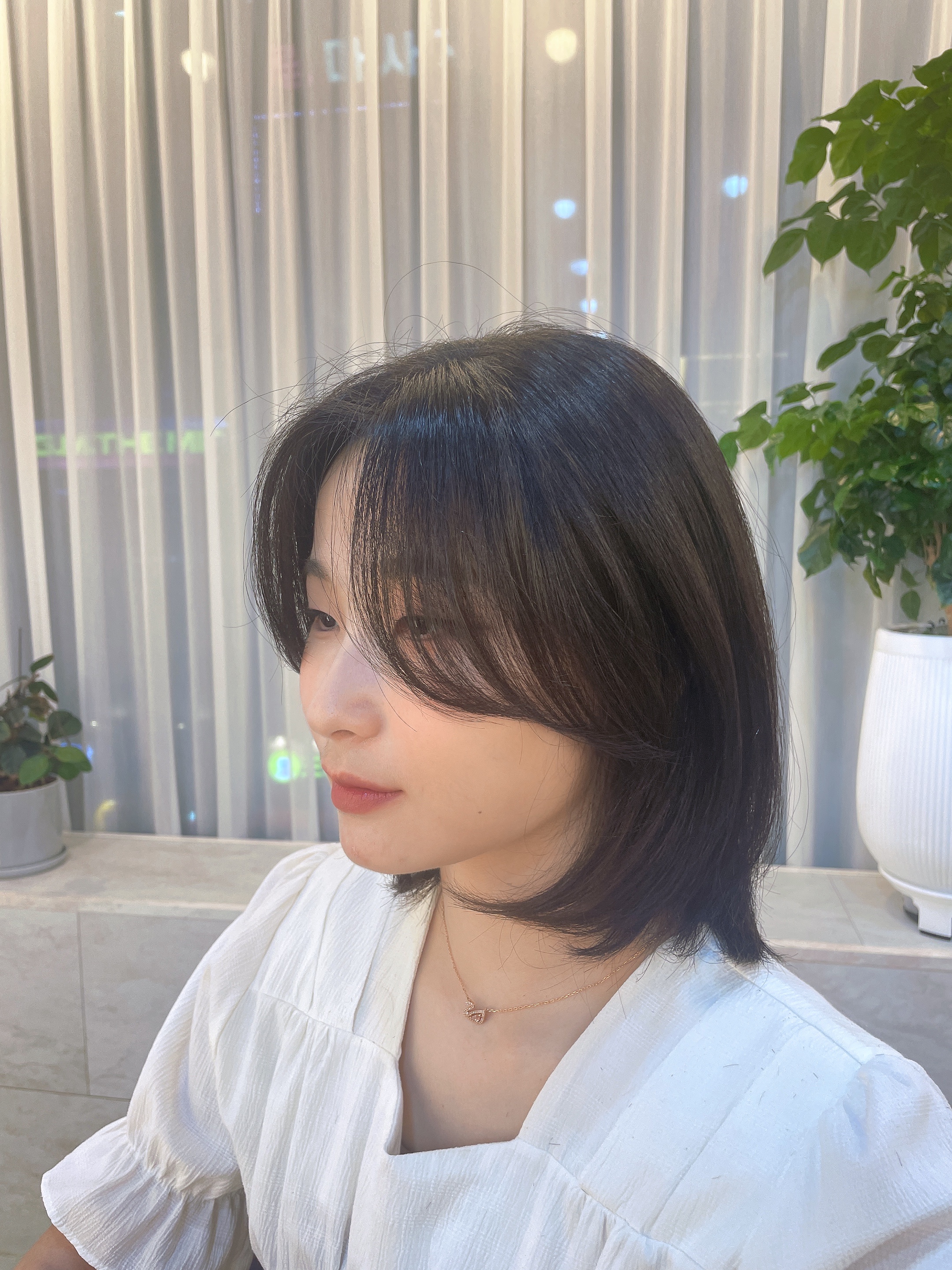 Hair Seed194 내부 또는 관련 모습