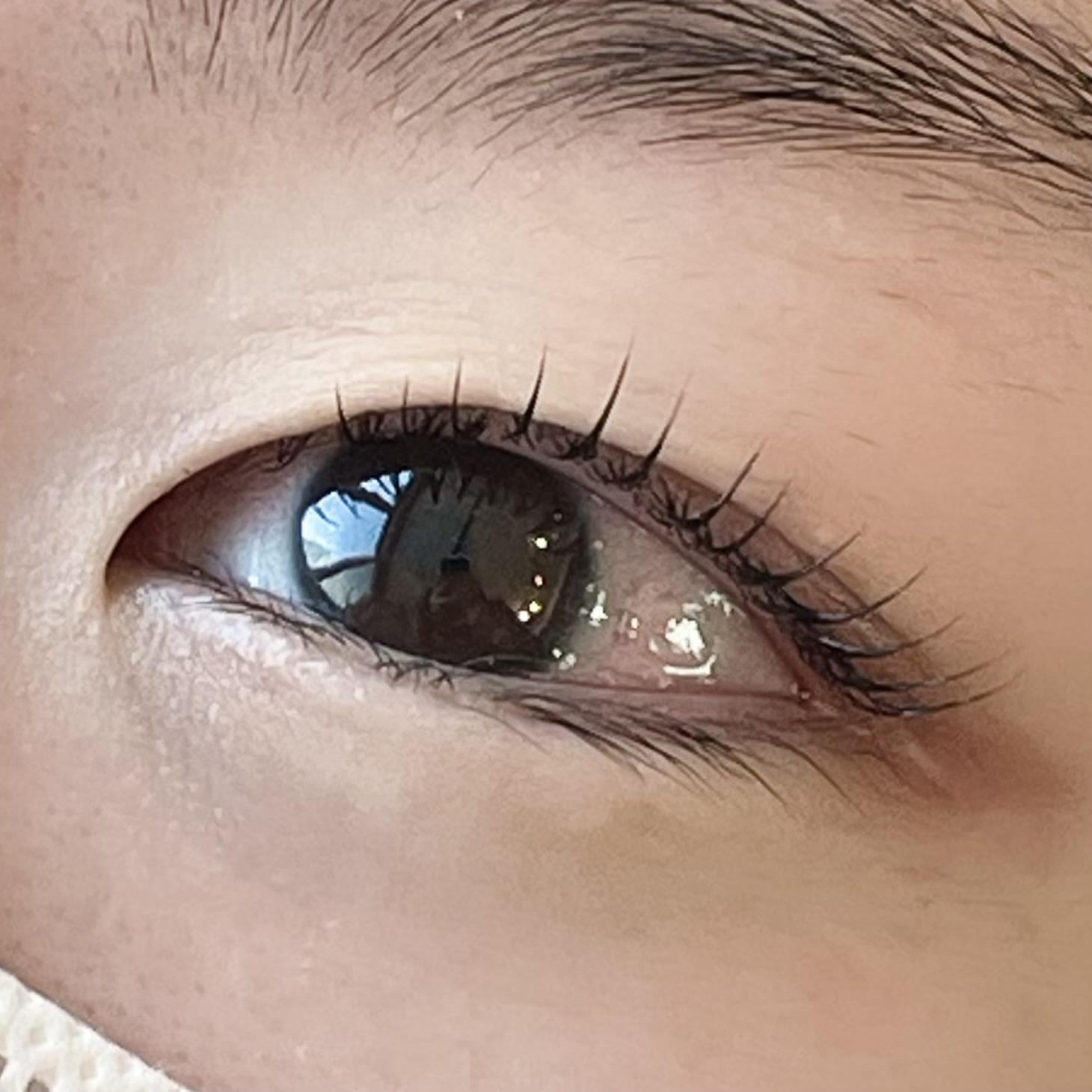 예하