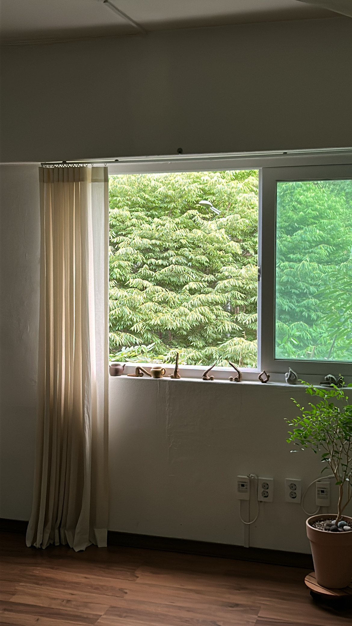 밤섬하타요가 이미지