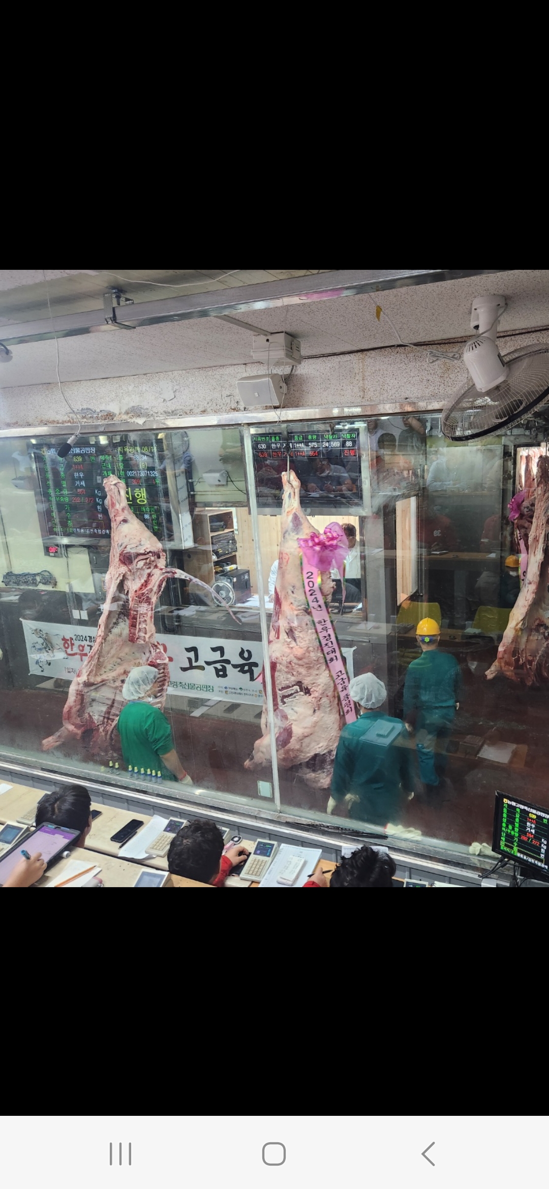 고령명품한우식당 대표 이미지