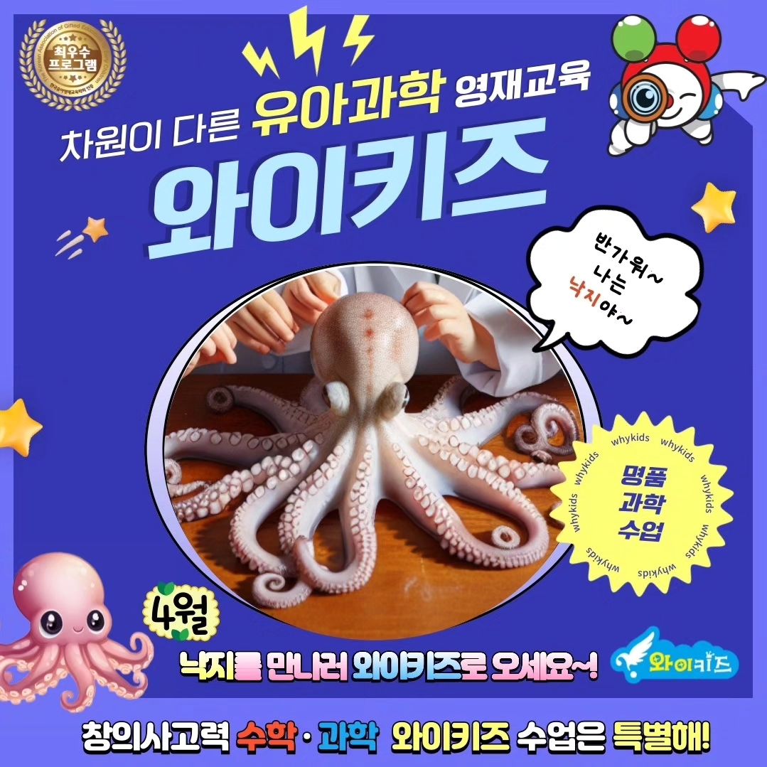와이키즈 평촌센터학원
