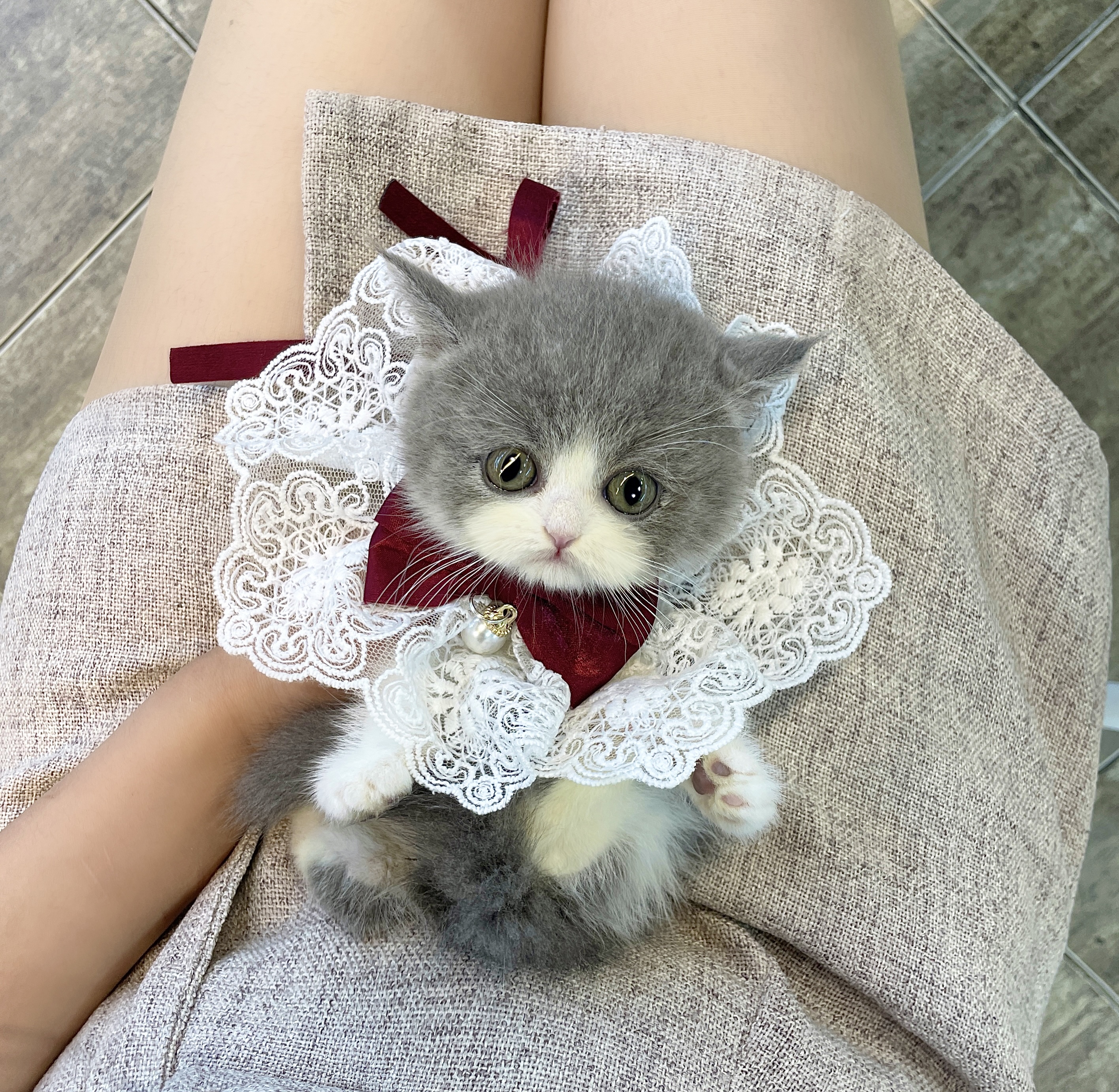 오독안심분양센터 목동점 대표 이미지