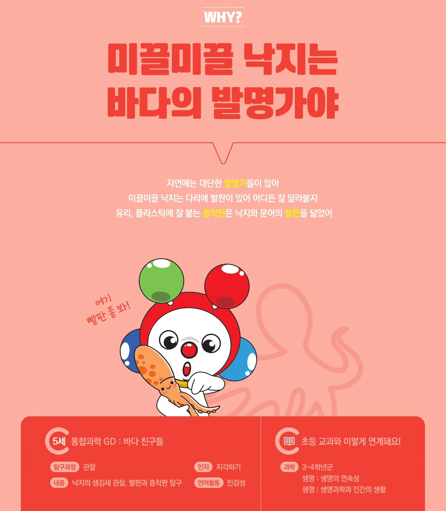 와이키즈 평촌센터학원