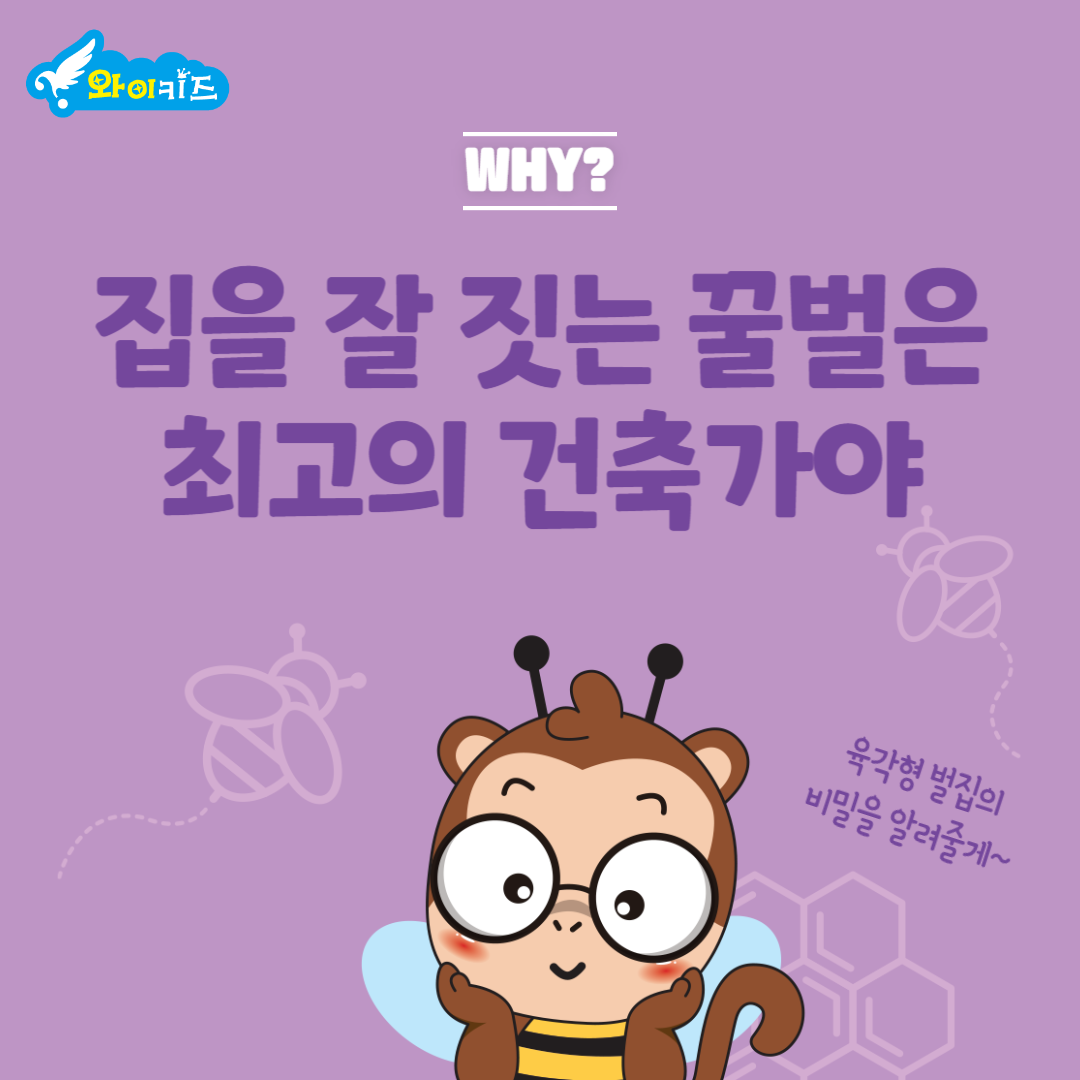와이키즈 평촌센터학원