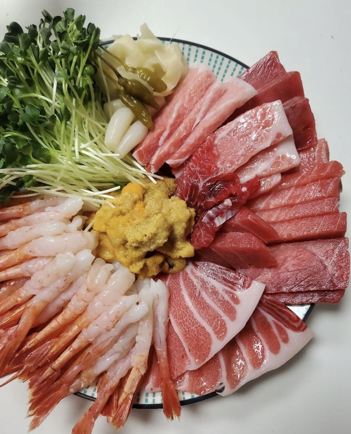 유쾌한참치