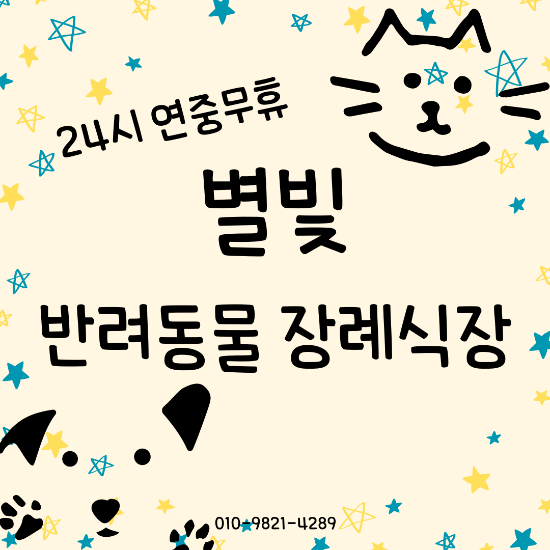 별빛