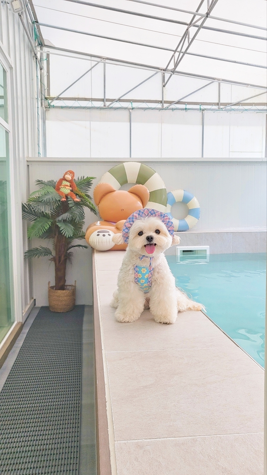 멍푸멍푸 대표 이미지