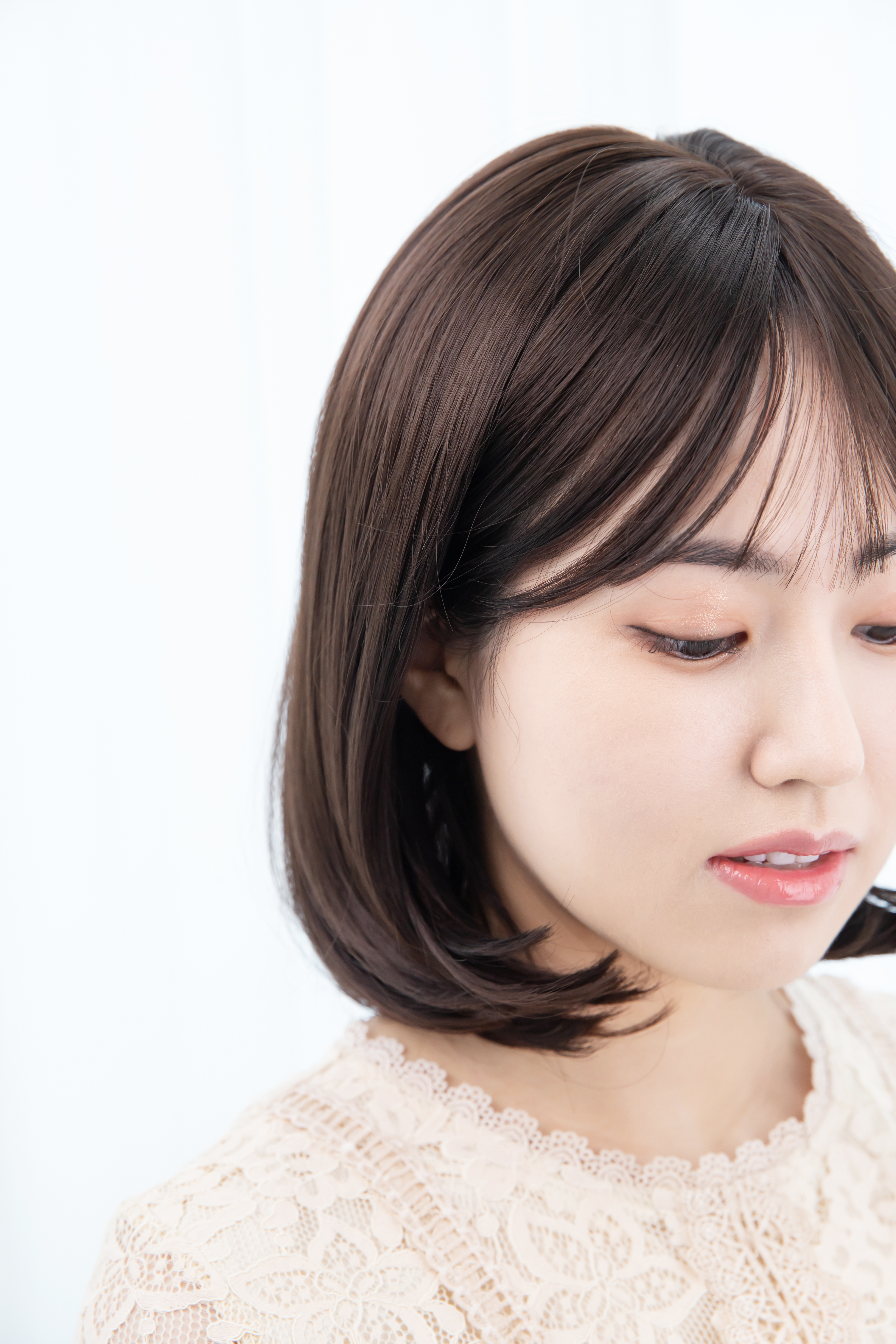 레몬고양이 대표 이미지