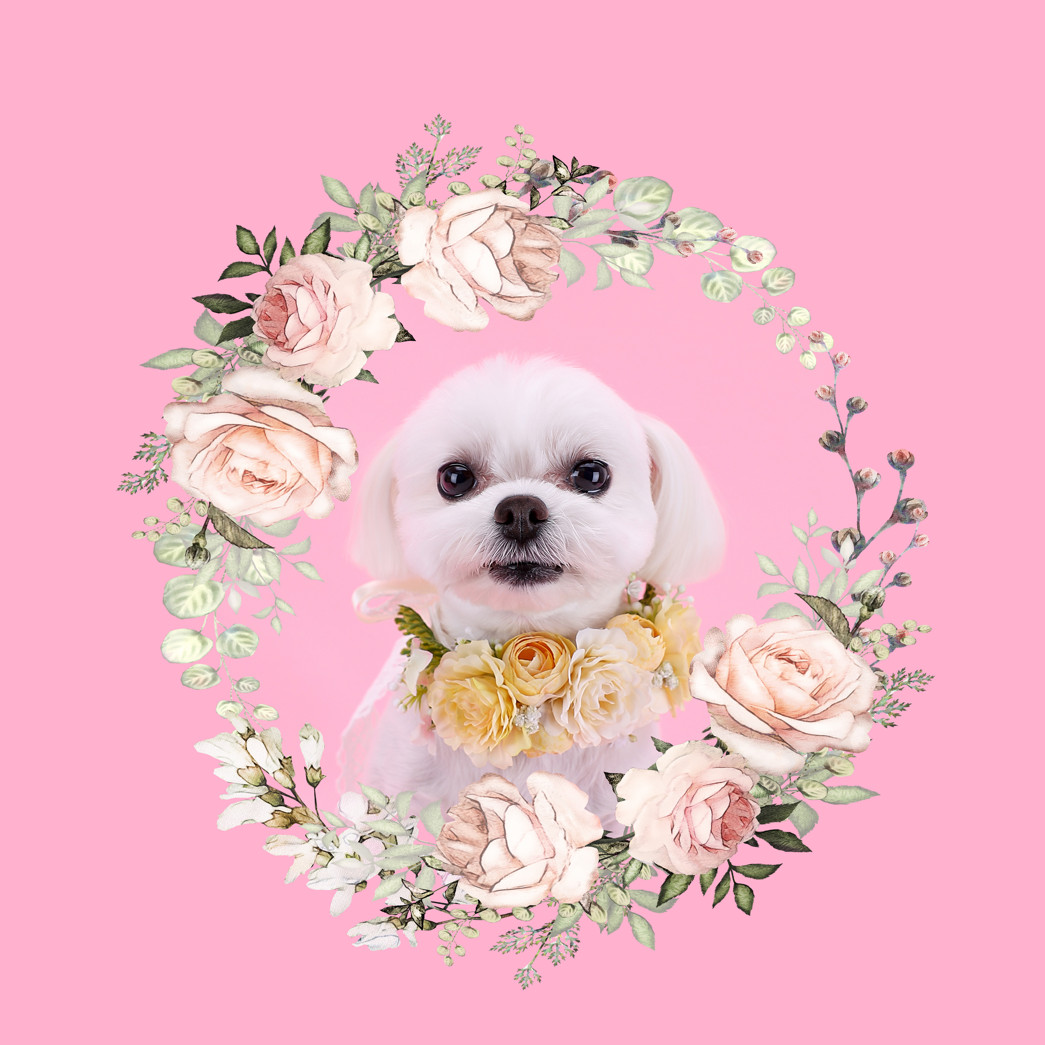 봄뜰사진관