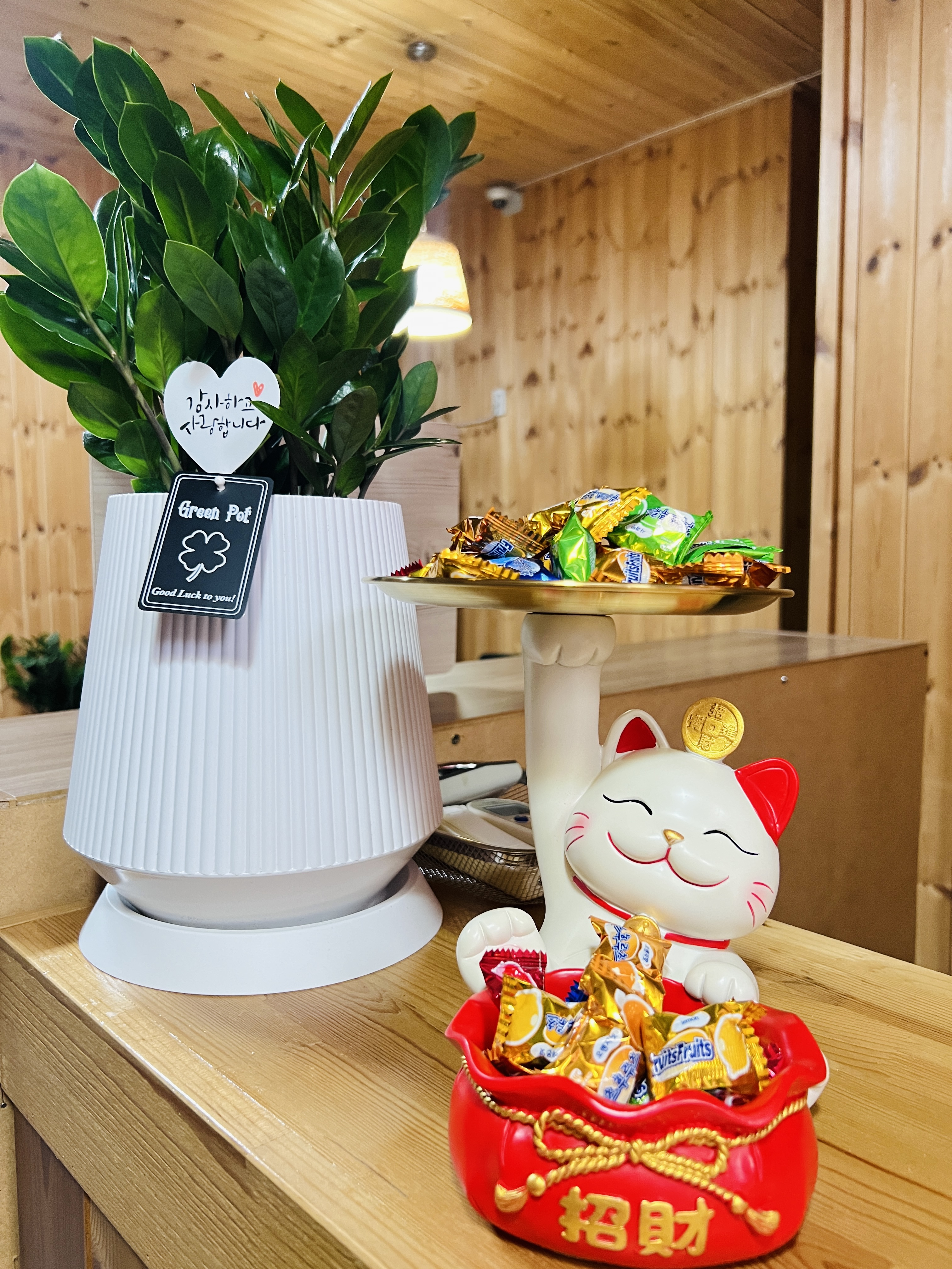 약손테라피 photo 8