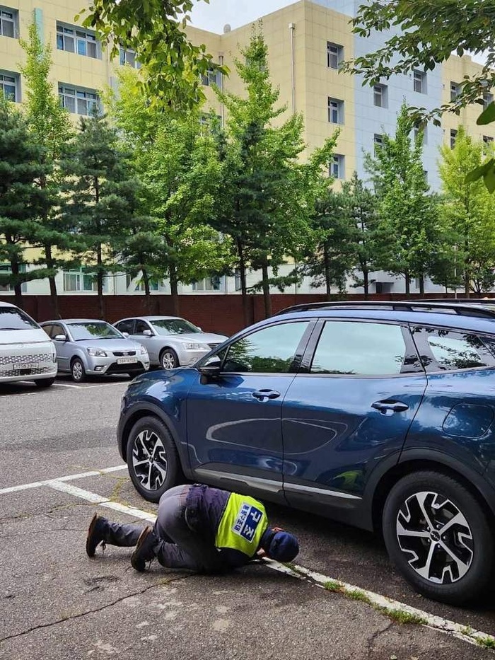 엑스트라마일 대표 이미지 - 실종 고양이 탐정