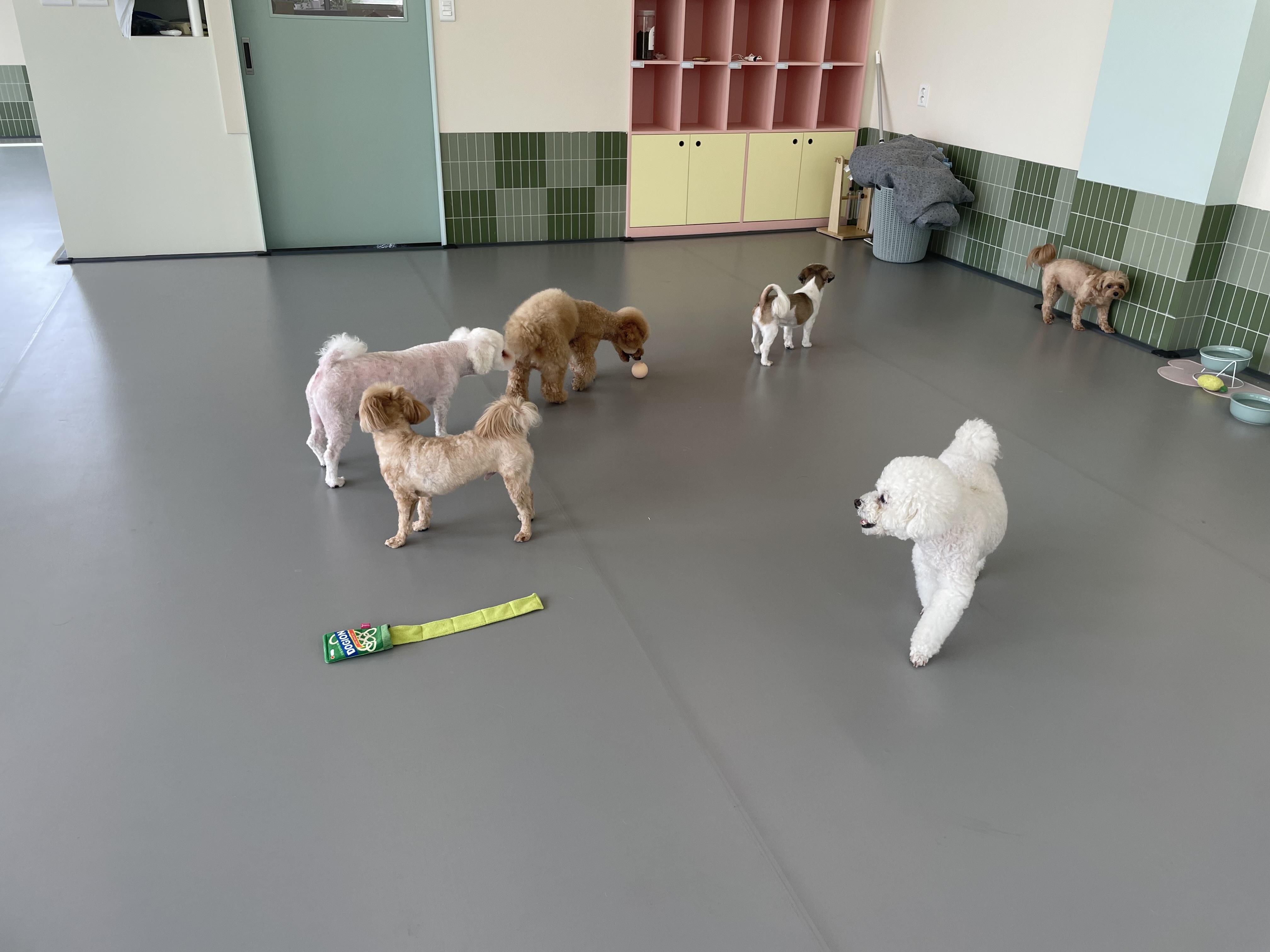 우다다 대표 이미지