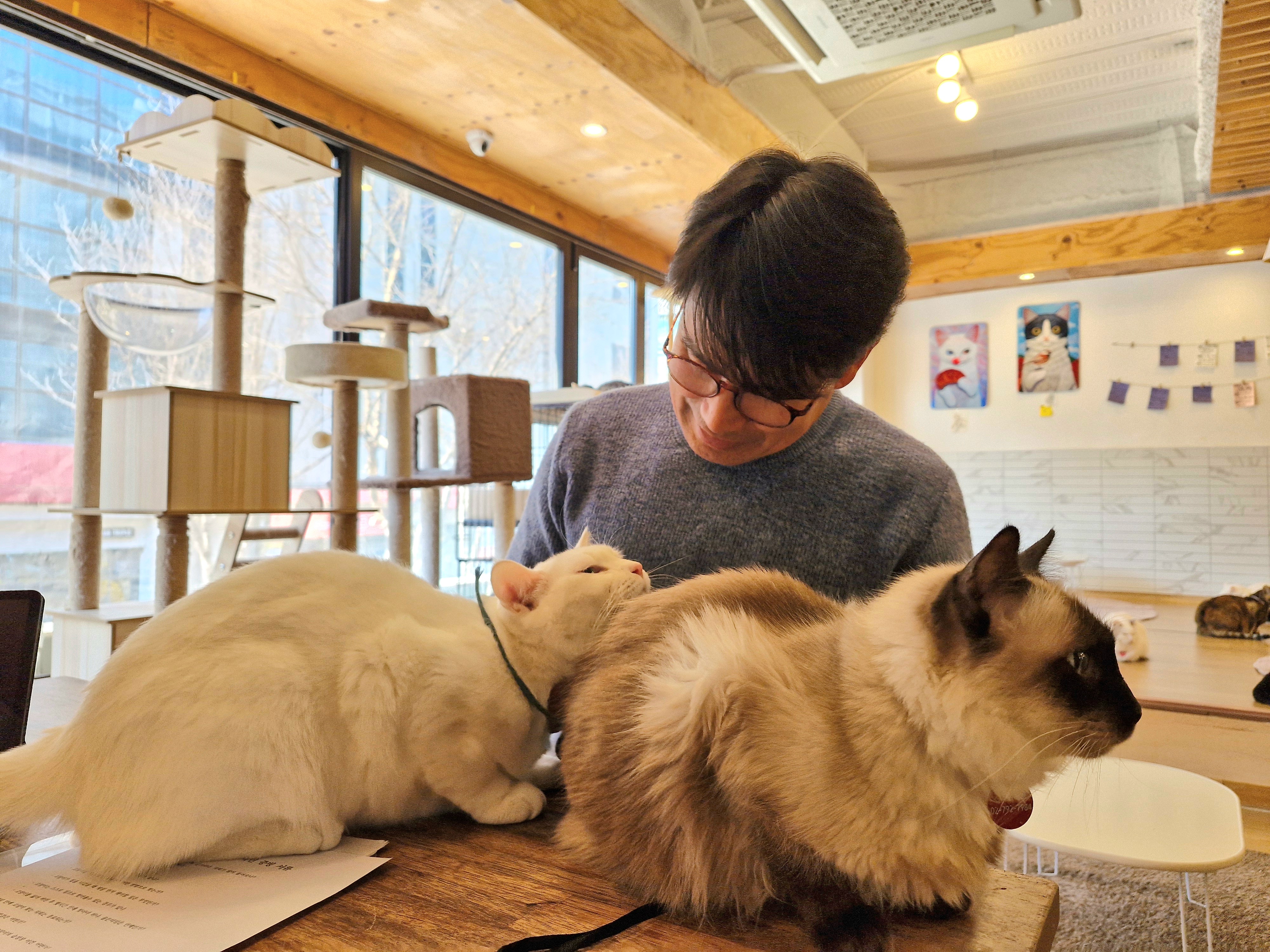 엑스트라마일 대표 이미지