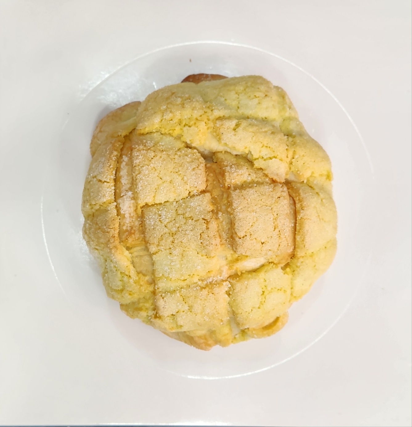 빵나무 이야기