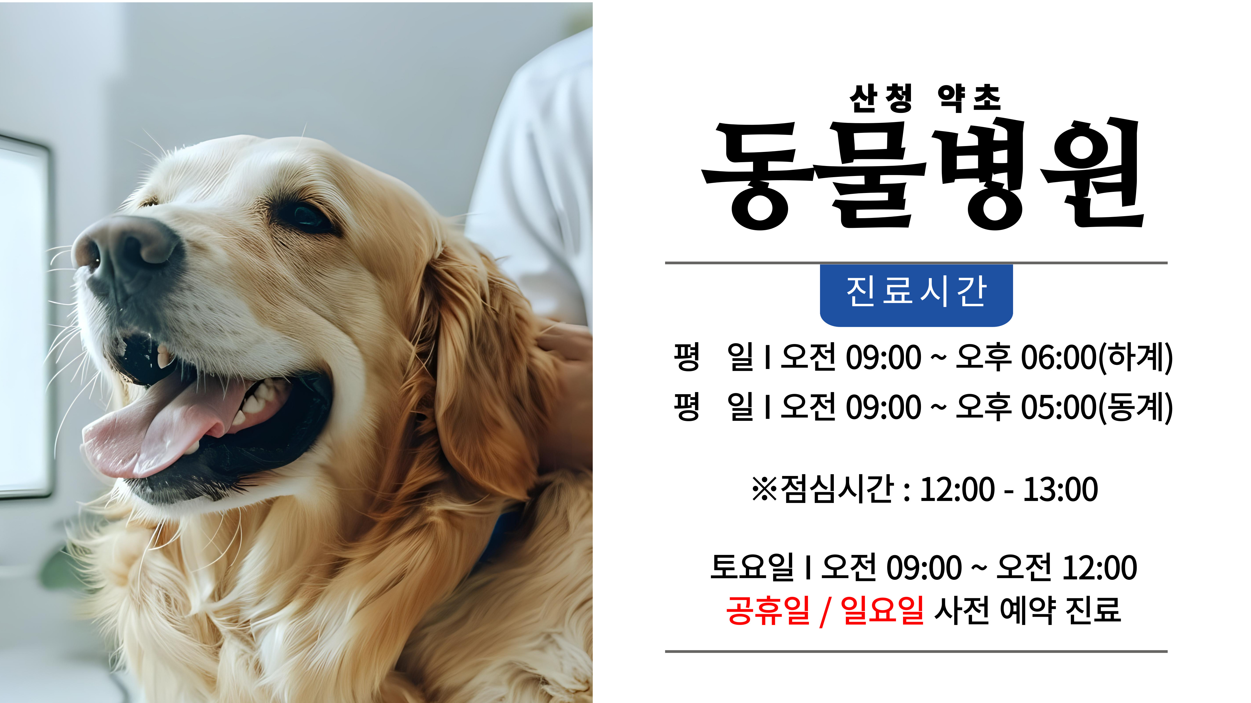 약초동물병원