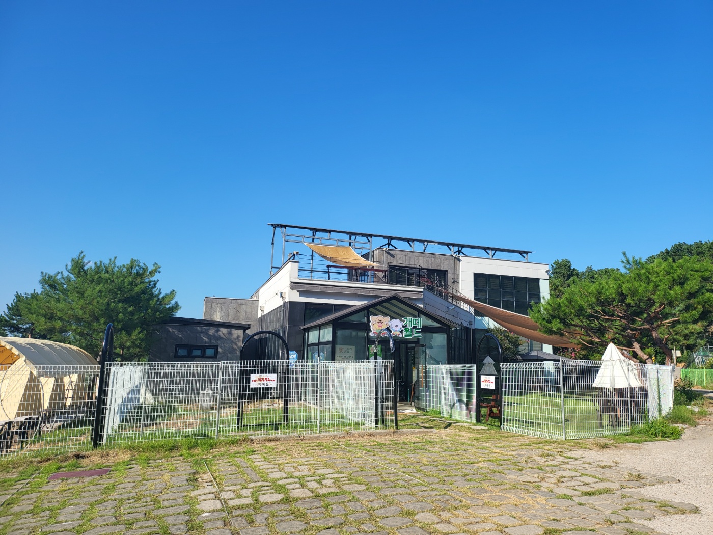 개떼월드 반려동물 동반 카페