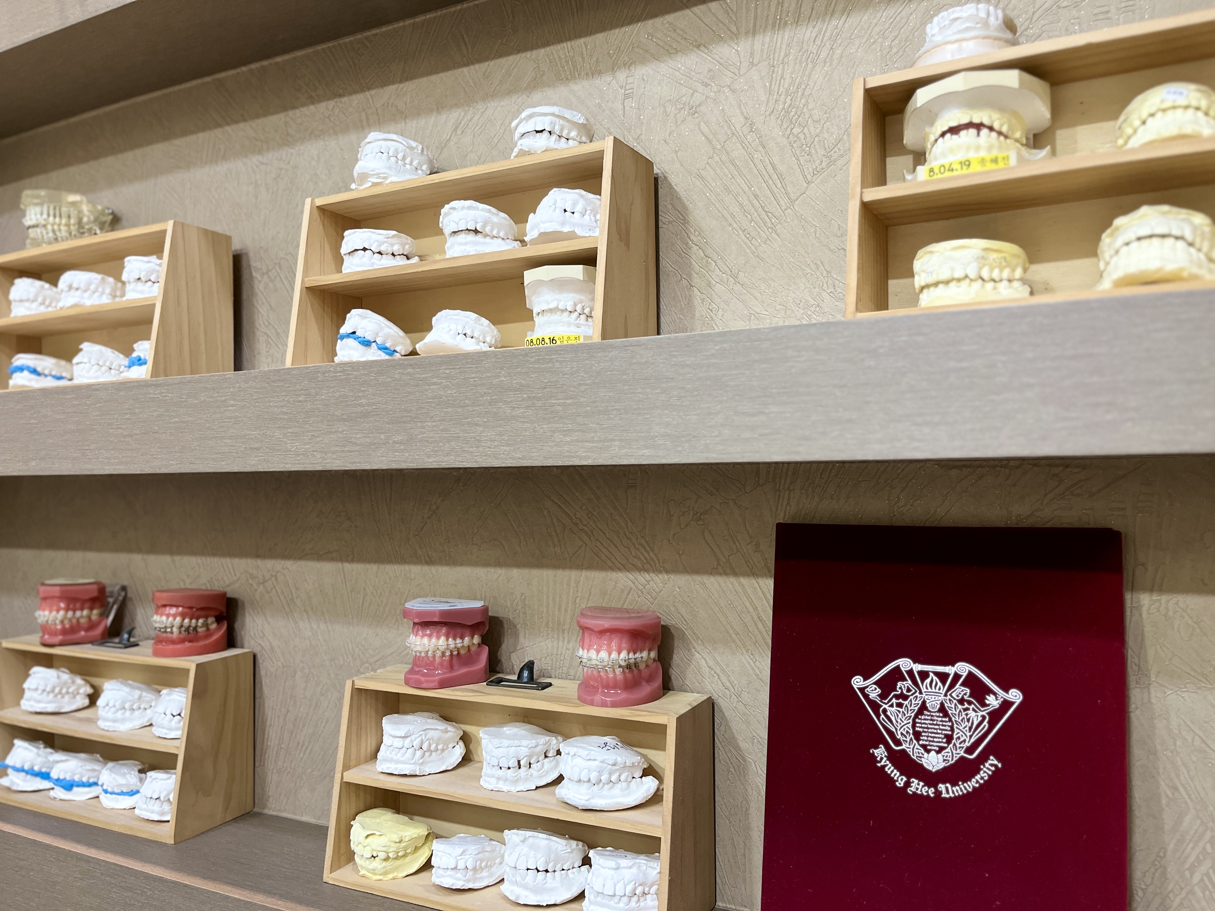 성심치과의원 대표 이미지