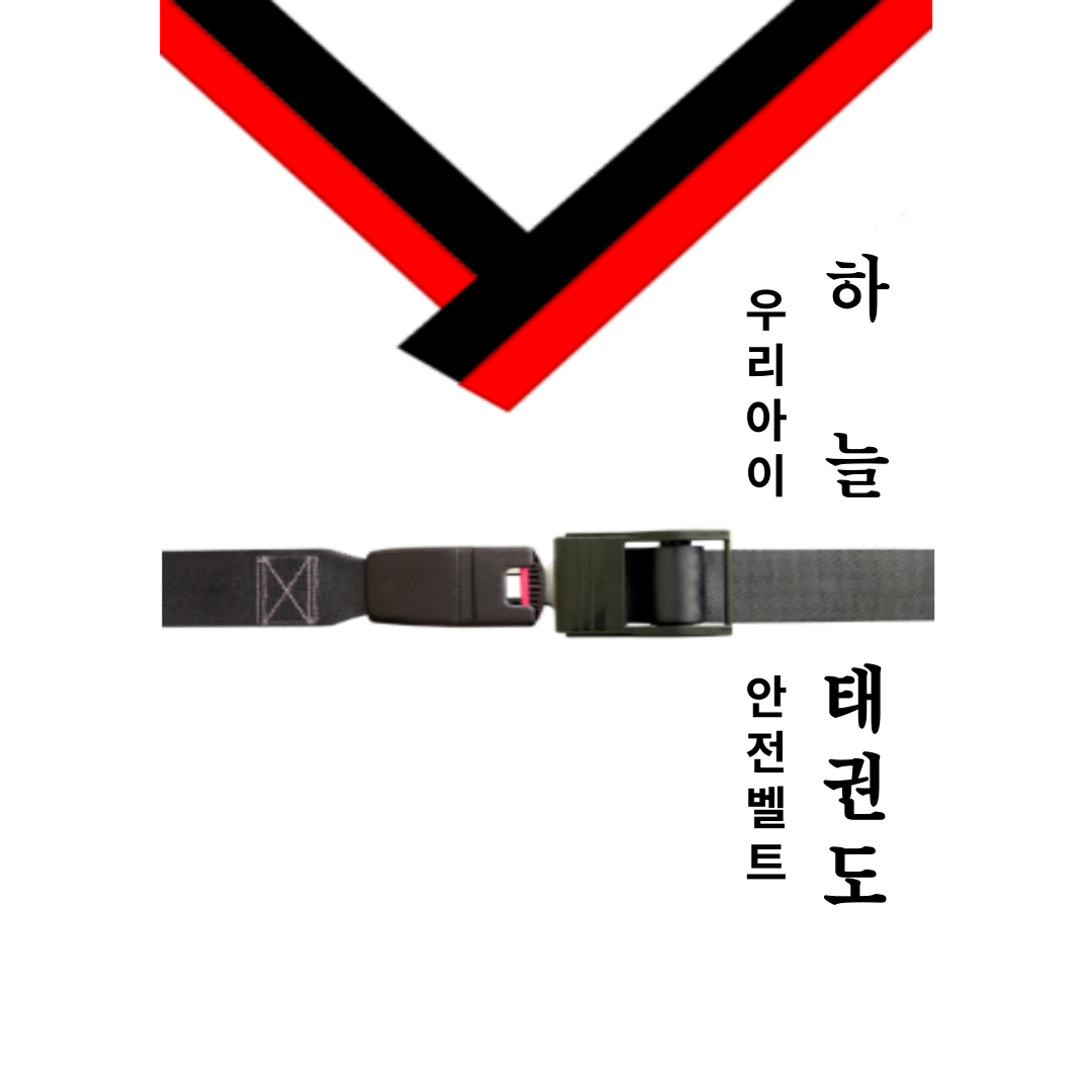 용인대하늘태권도