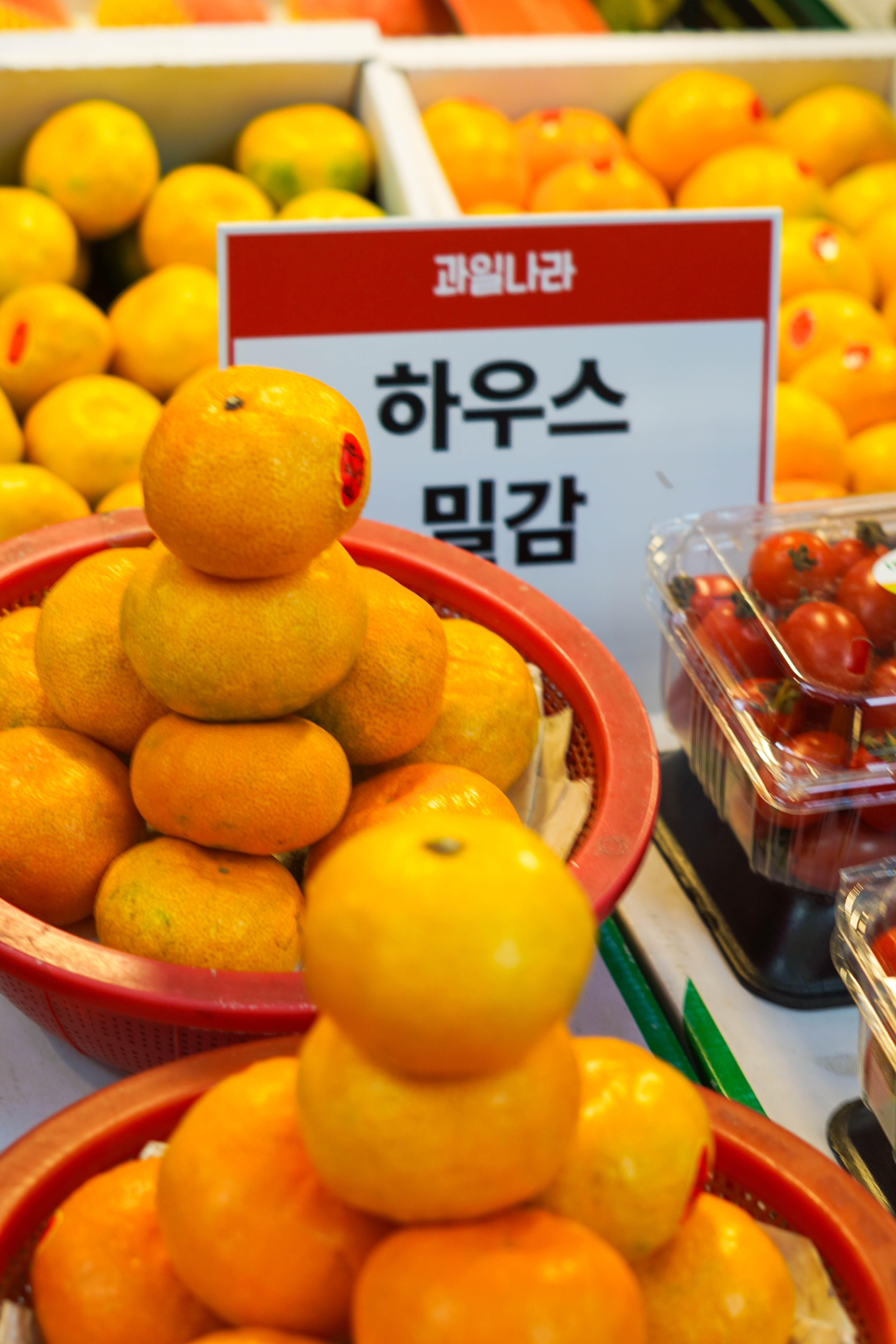 과일나라