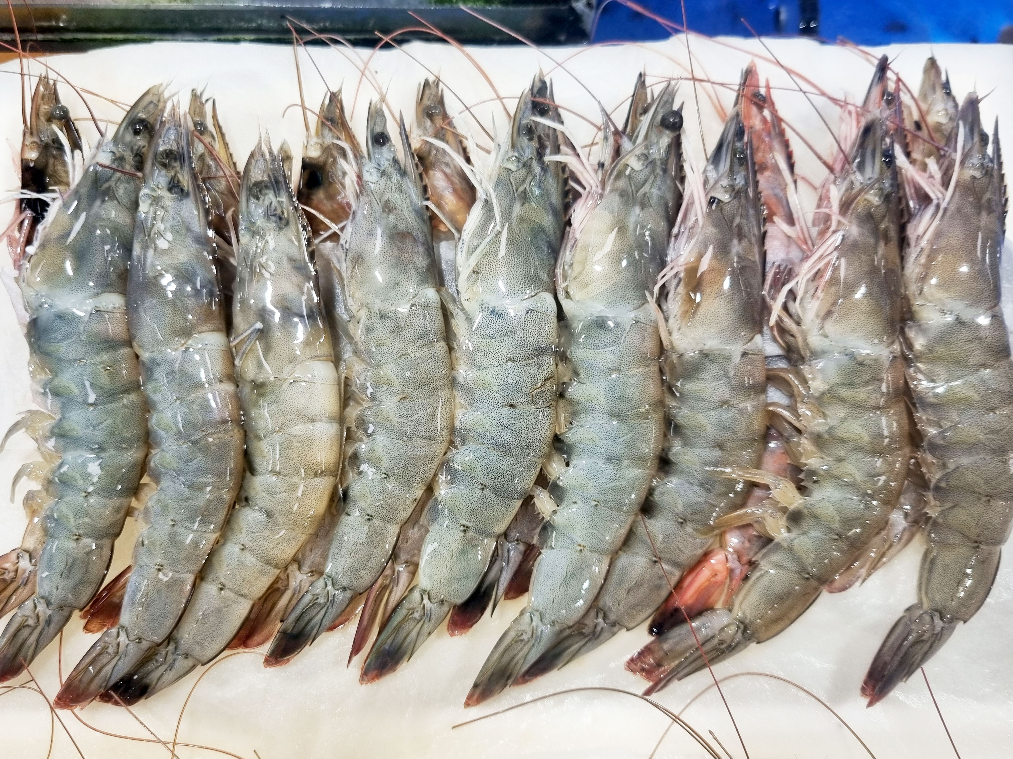 만복수산