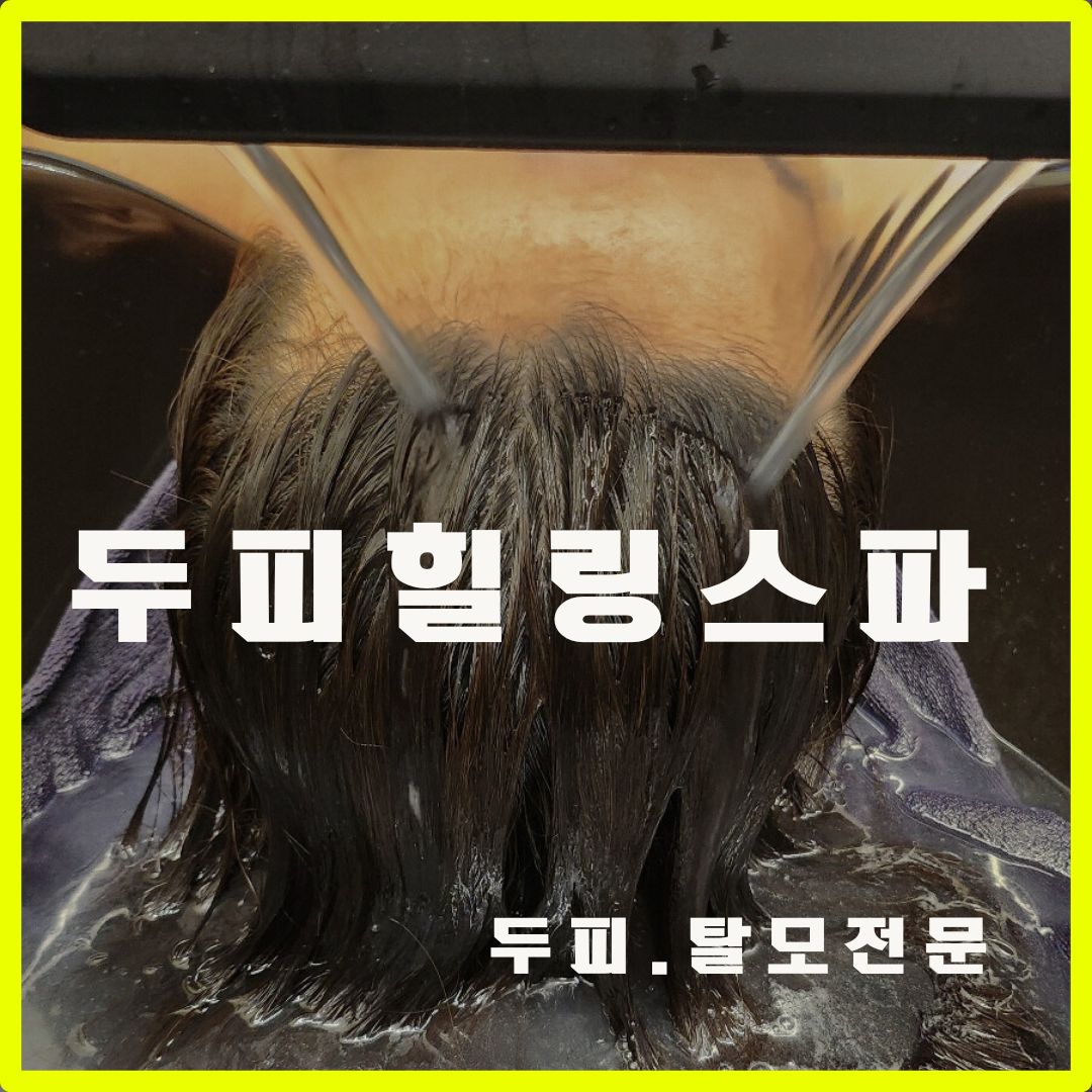 더블라인스칼프 구미본점